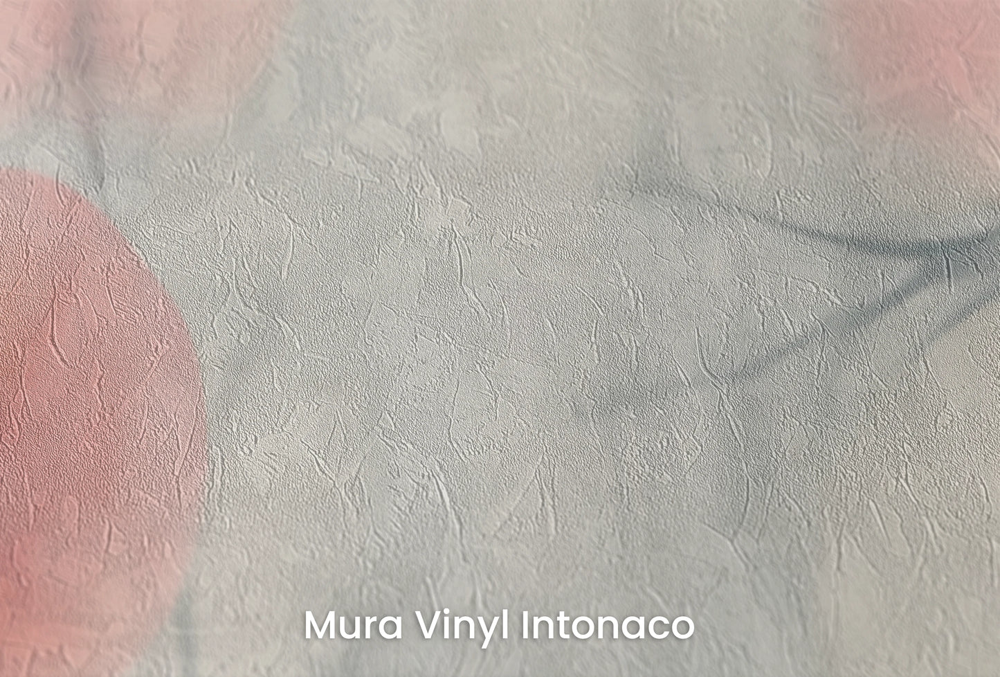 Zbliżenie na artystyczną fototapetę o nazwie Veiled Flora na podłożu Mura Vinyl Intonaco - struktura tartego tynku.