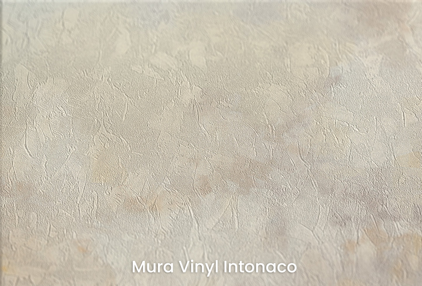 Zbliżenie na artystyczną fototapetę o nazwie DAWN'S FIRST LIGHT na podłożu Mura Vinyl Intonaco - struktura tartego tynku.