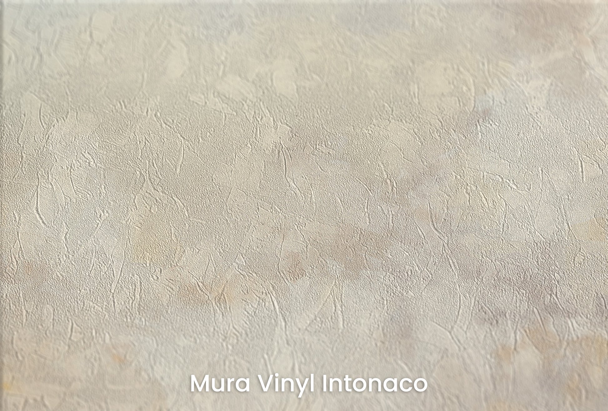 Zbliżenie na artystyczną fototapetę o nazwie DAWN'S FIRST LIGHT na podłożu Mura Vinyl Intonaco - struktura tartego tynku.