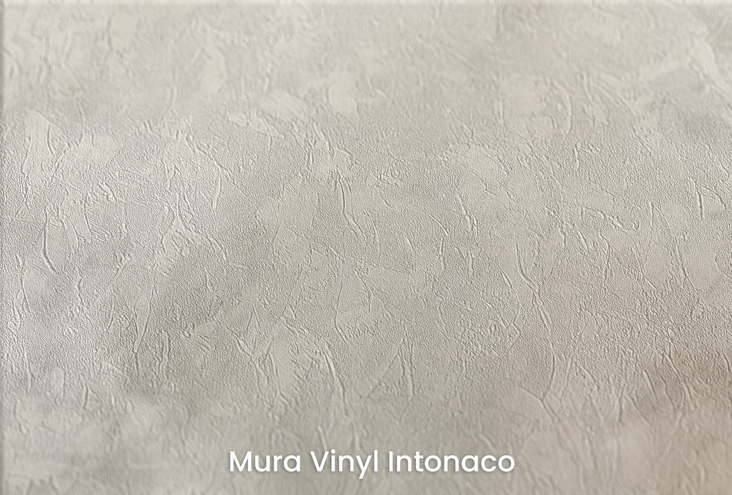 Zbliżenie na artystyczną fototapetę o nazwie MARBLE MIST ELEGANCE na podłożu Mura Vinyl Intonaco - struktura tartego tynku.