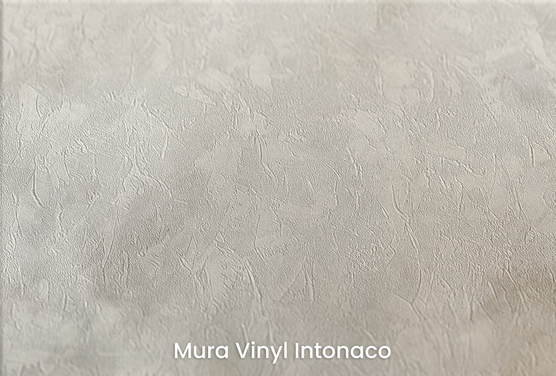 Zbliżenie na artystyczną fototapetę o nazwie MARBLE MIST ELEGANCE na podłożu Mura Vinyl Intonaco - struktura tartego tynku.