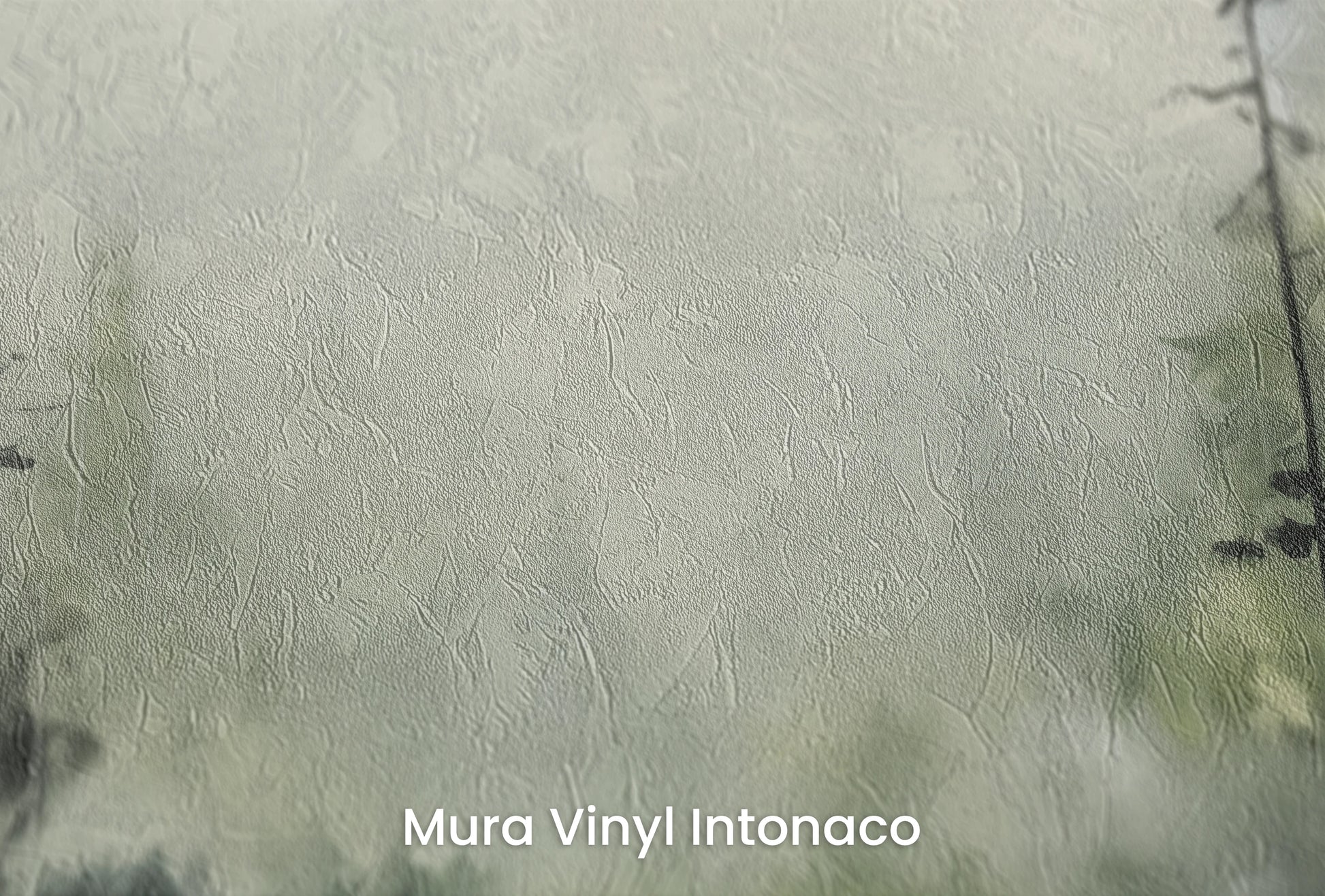 Zbliżenie na artystyczną fototapetę o nazwie Mglisty Las na podłożu Mura Vinyl Intonaco - struktura tartego tynku.
