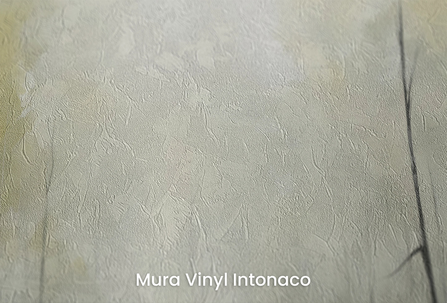 Zbliżenie na artystyczną fototapetę o nazwie Spokój Świtu na podłożu Mura Vinyl Intonaco - struktura tartego tynku.