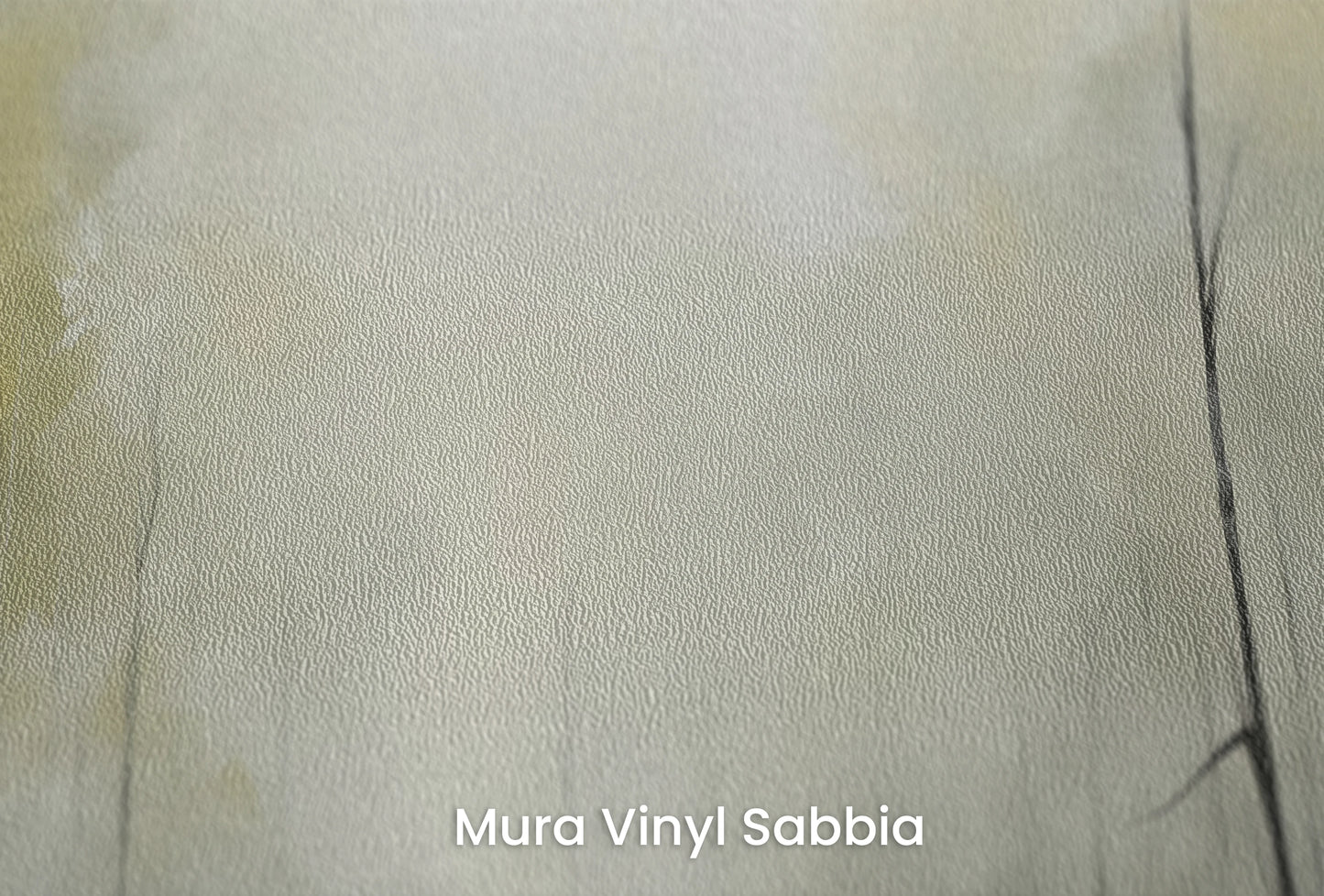 Zbliżenie na artystyczną fototapetę o nazwie Spokój Świtu na podłożu Mura Vinyl Sabbia struktura grubego ziarna piasku.