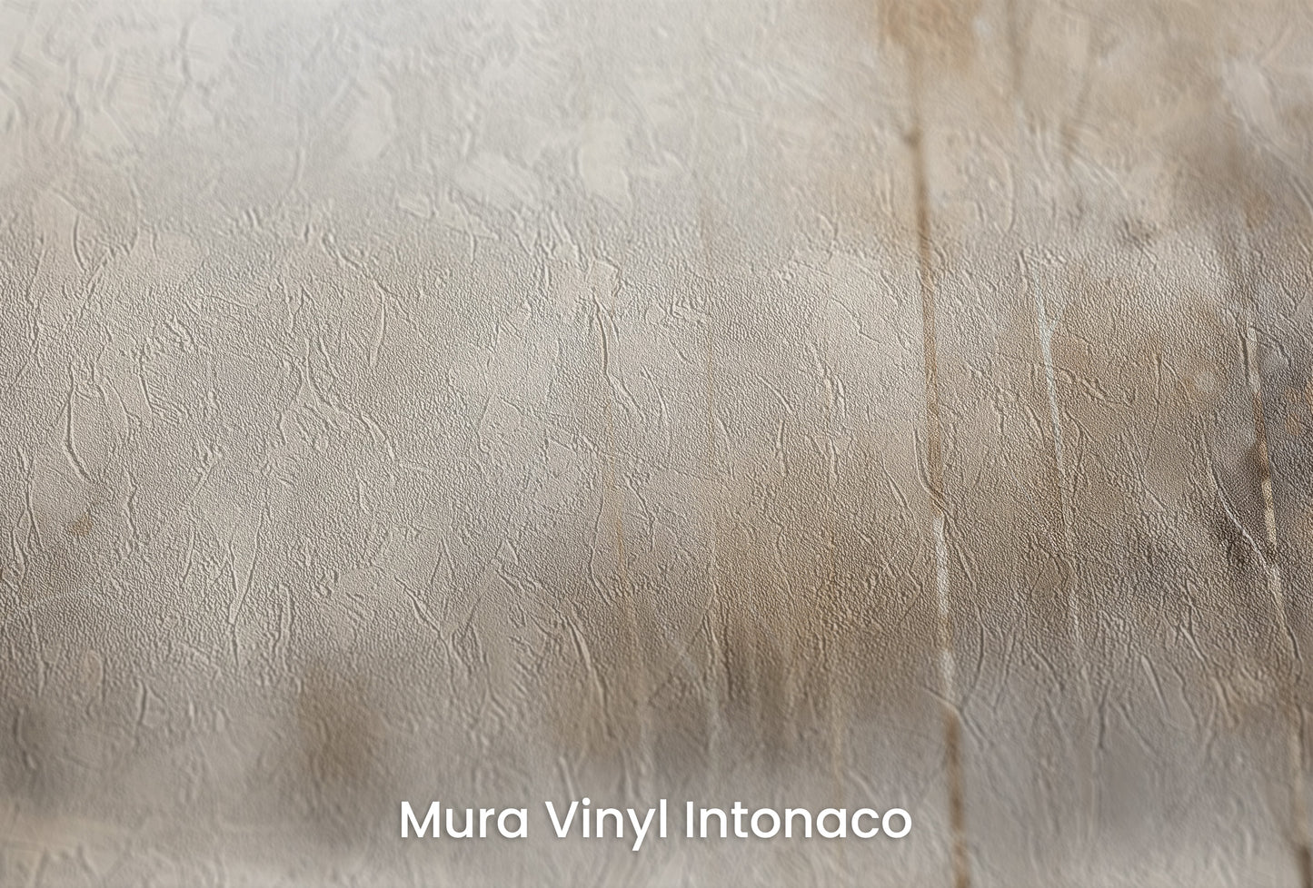 Zbliżenie na artystyczną fototapetę o nazwie SERENE WATERS EDGE MURAL na podłożu Mura Vinyl Intonaco - struktura tartego tynku.