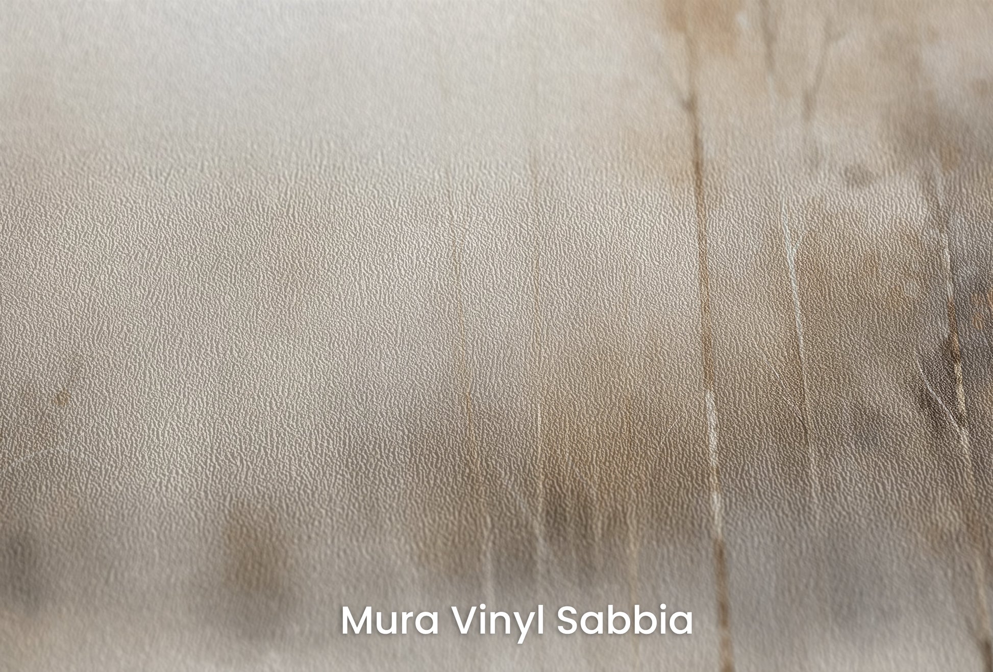 Zbliżenie na artystyczną fototapetę o nazwie SERENE WATERS EDGE MURAL na podłożu Mura Vinyl Sabbia struktura grubego ziarna piasku.