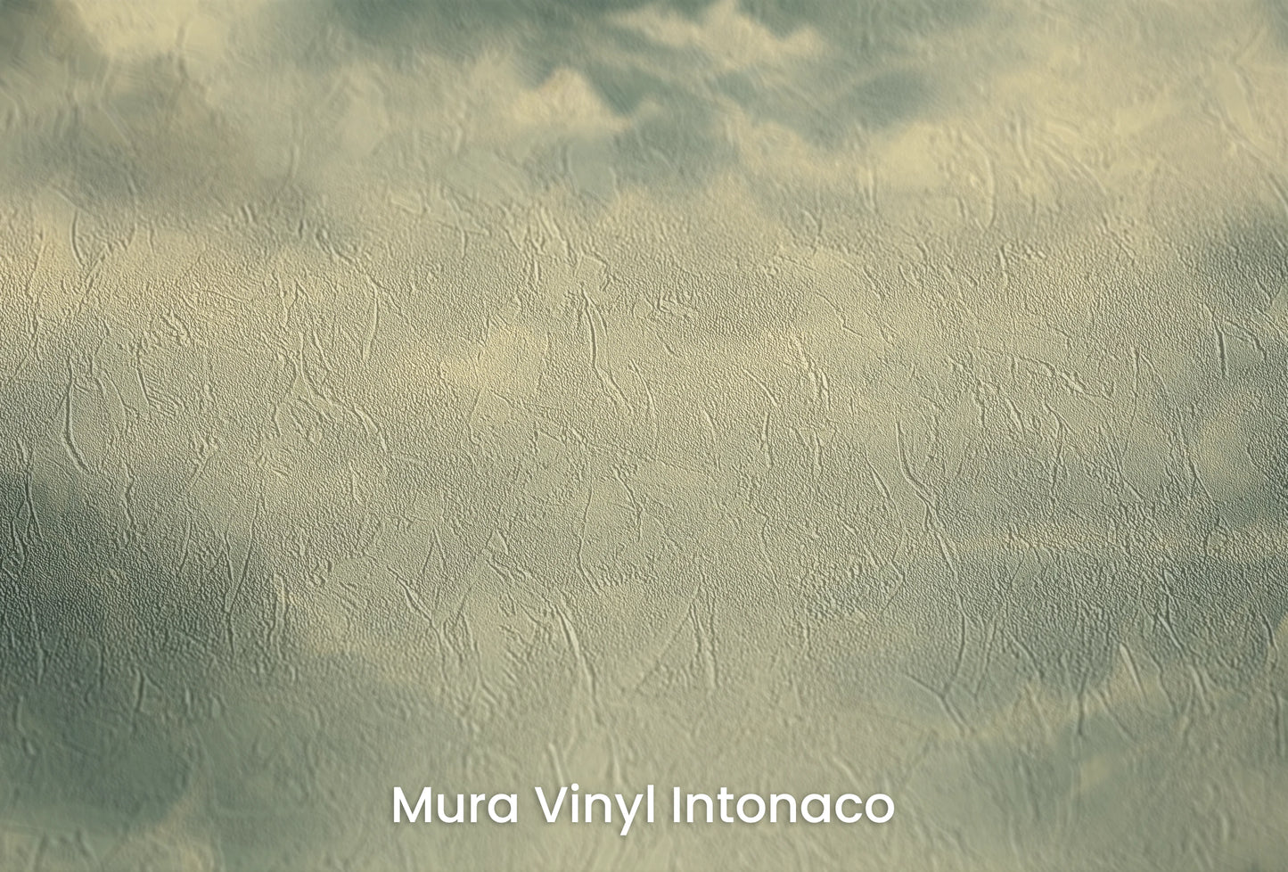 Zbliżenie na artystyczną fototapetę o nazwie Poranna Delikatność na podłożu Mura Vinyl Intonaco - struktura tartego tynku.