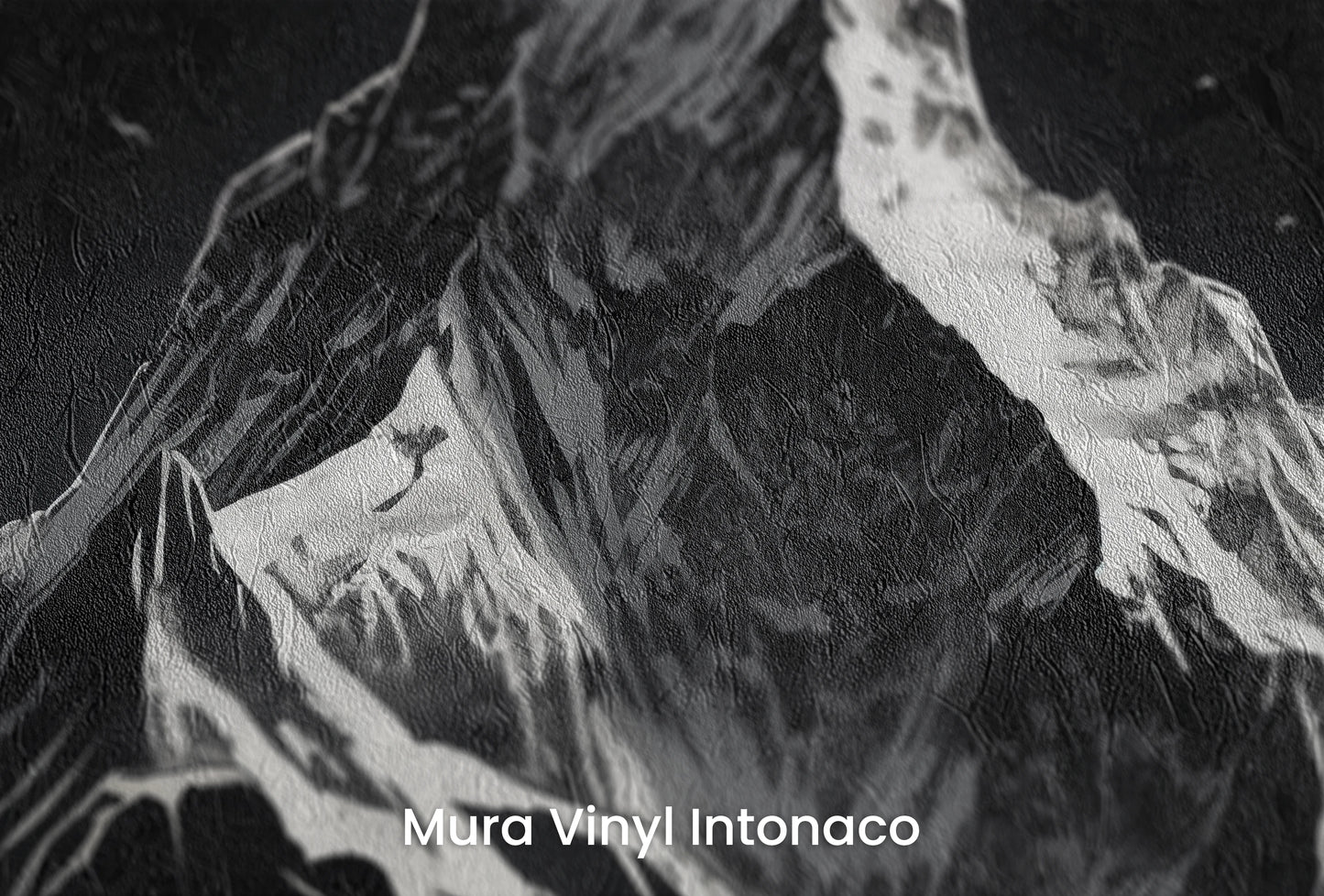 Zbliżenie na artystyczną fototapetę o nazwie Monochromatic Majesty na podłożu Mura Vinyl Intonaco - struktura tartego tynku.