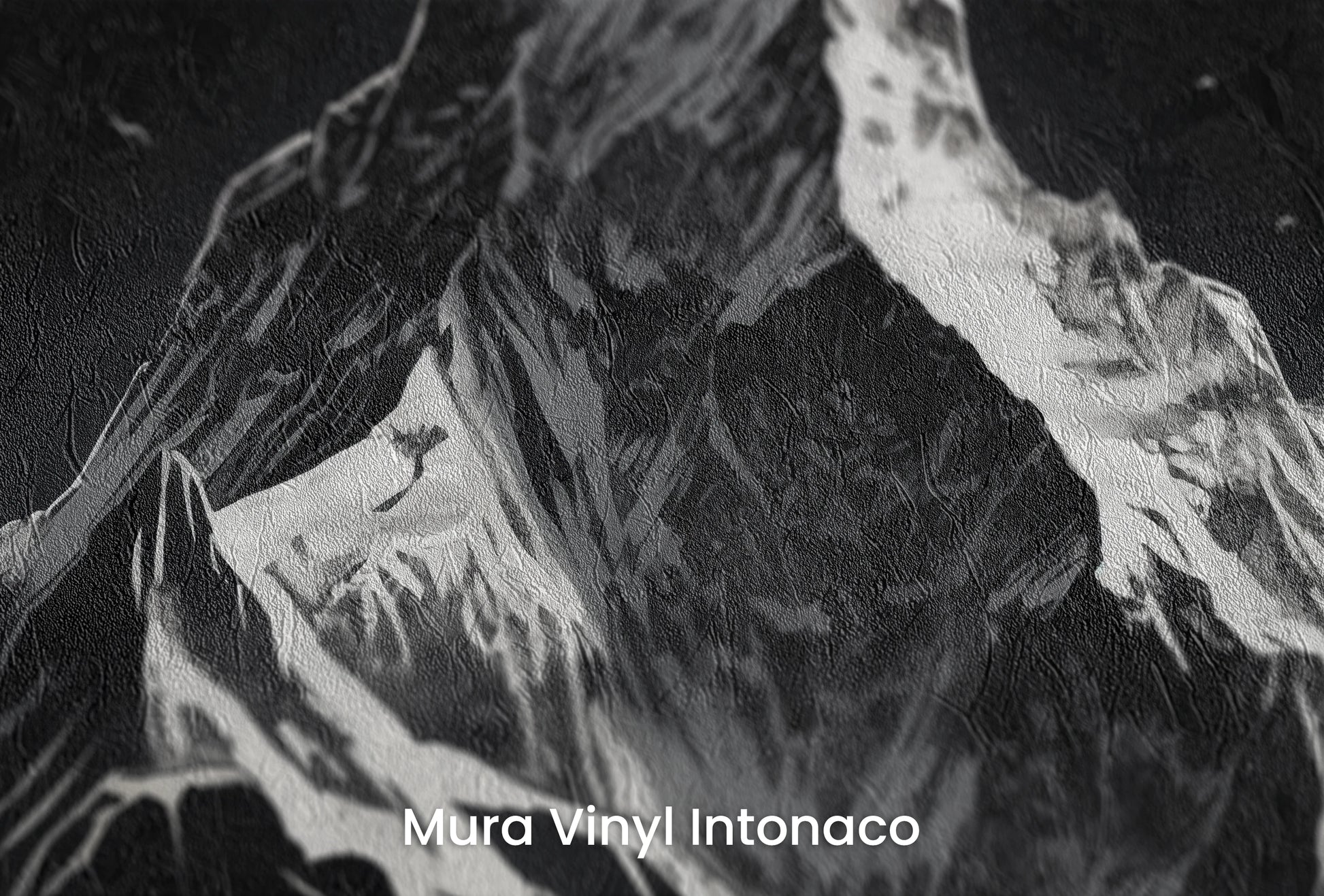 Zbliżenie na artystyczną fototapetę o nazwie Monochromatic Majesty na podłożu Mura Vinyl Intonaco - struktura tartego tynku.