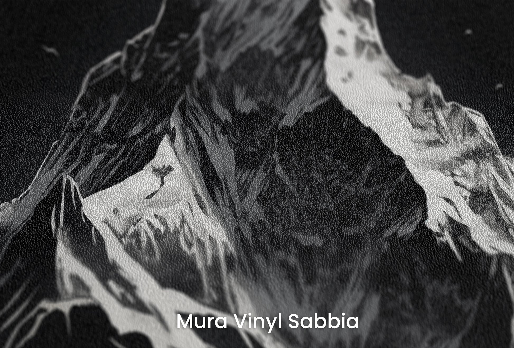 Zbliżenie na artystyczną fototapetę o nazwie Monochromatic Majesty na podłożu Mura Vinyl Sabbia struktura grubego ziarna piasku.