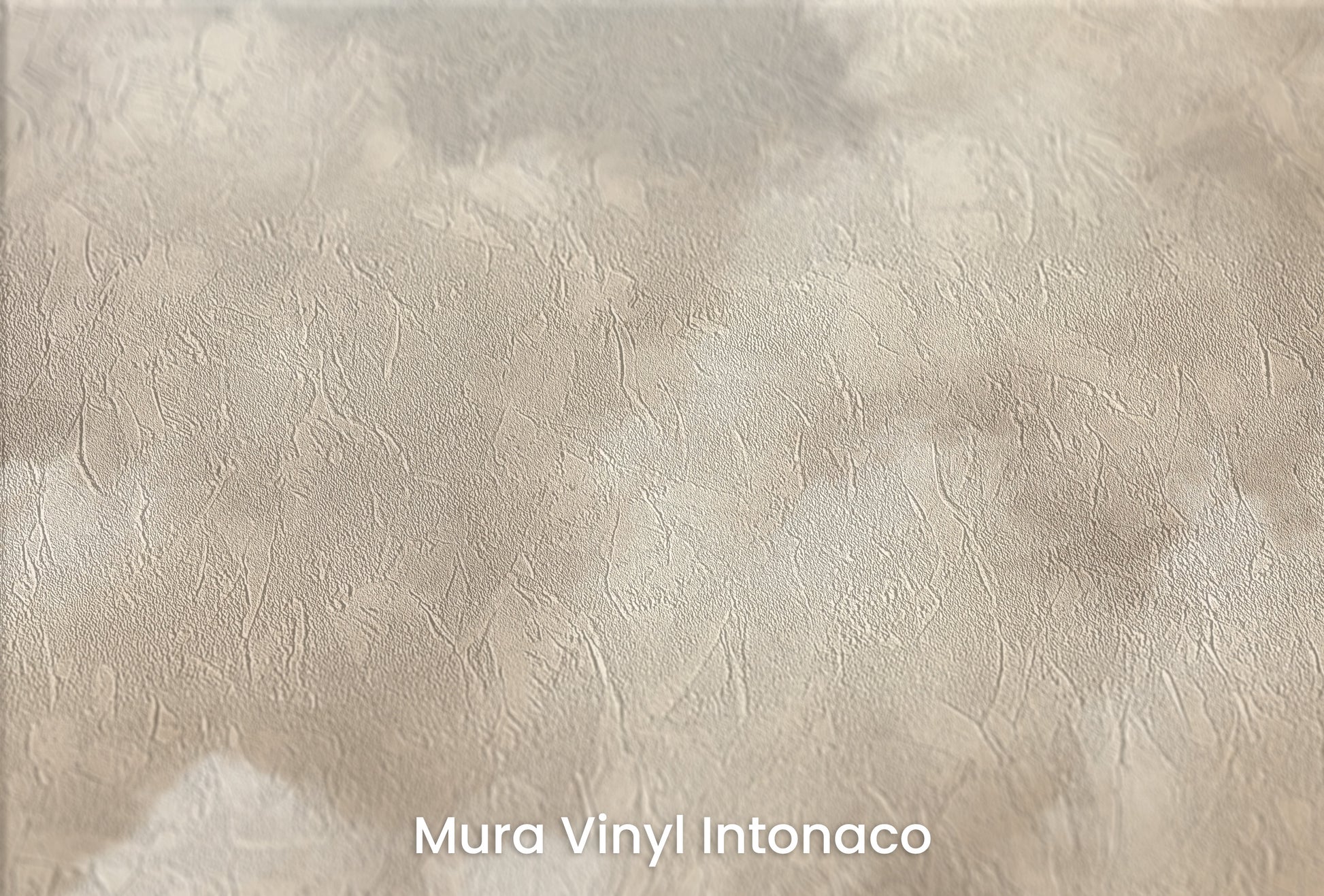 Zbliżenie na artystyczną fototapetę o nazwie SOFT HORIZON HAZE na podłożu Mura Vinyl Intonaco - struktura tartego tynku.