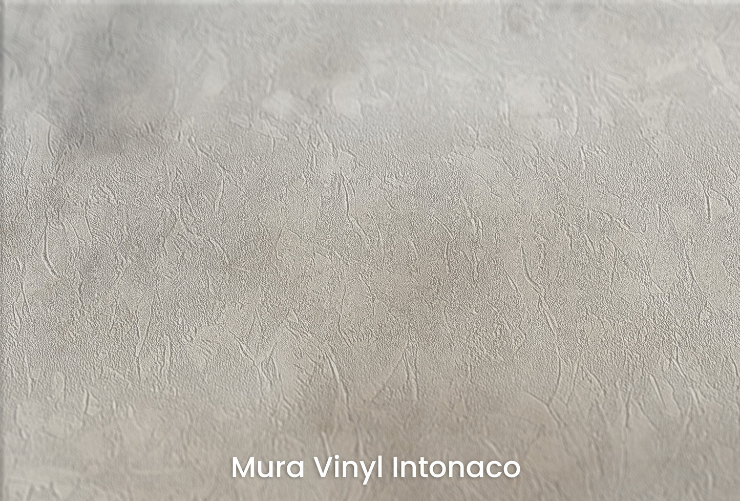 Zbliżenie na artystyczną fototapetę o nazwie MYSTICAL FOG MURAL #2 na podłożu Mura Vinyl Intonaco - struktura tartego tynku.