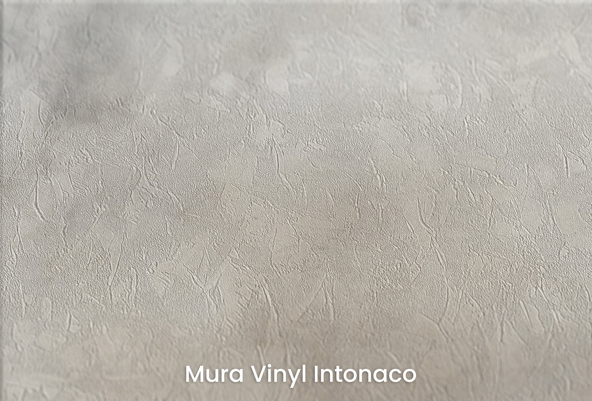 Zbliżenie na artystyczną fototapetę o nazwie MYSTICAL FOG MURAL #2 na podłożu Mura Vinyl Intonaco - struktura tartego tynku.