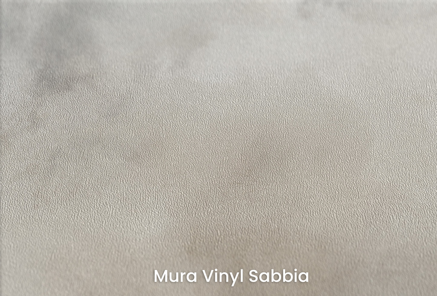 Zbliżenie na artystyczną fototapetę o nazwie MYSTICAL FOG MURAL #2 na podłożu Mura Vinyl Sabbia struktura grubego ziarna piasku.