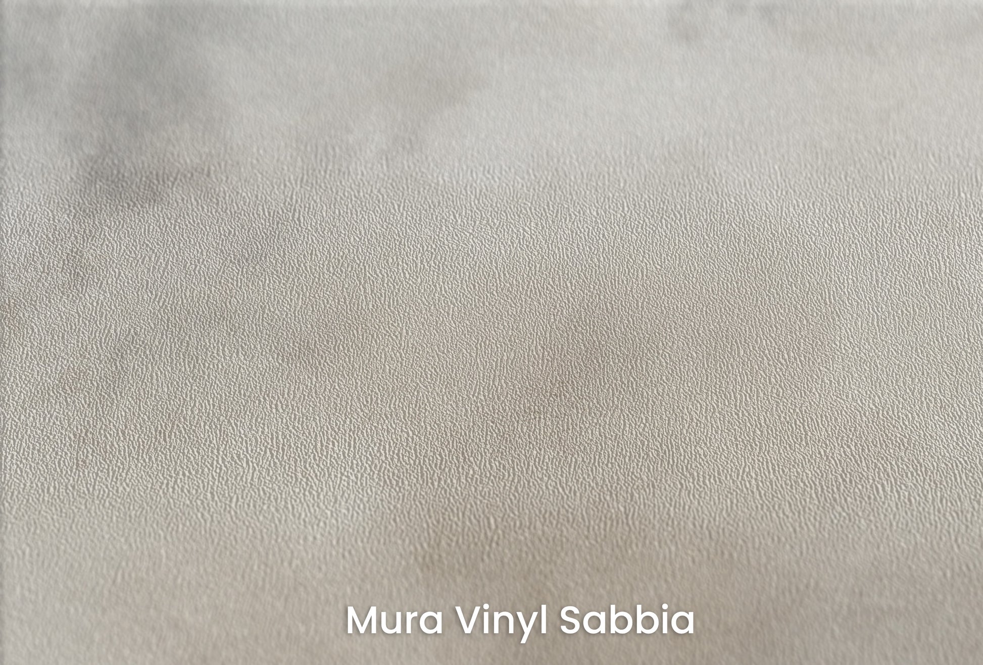 Zbliżenie na artystyczną fototapetę o nazwie MYSTICAL FOG MURAL #2 na podłożu Mura Vinyl Sabbia struktura grubego ziarna piasku.