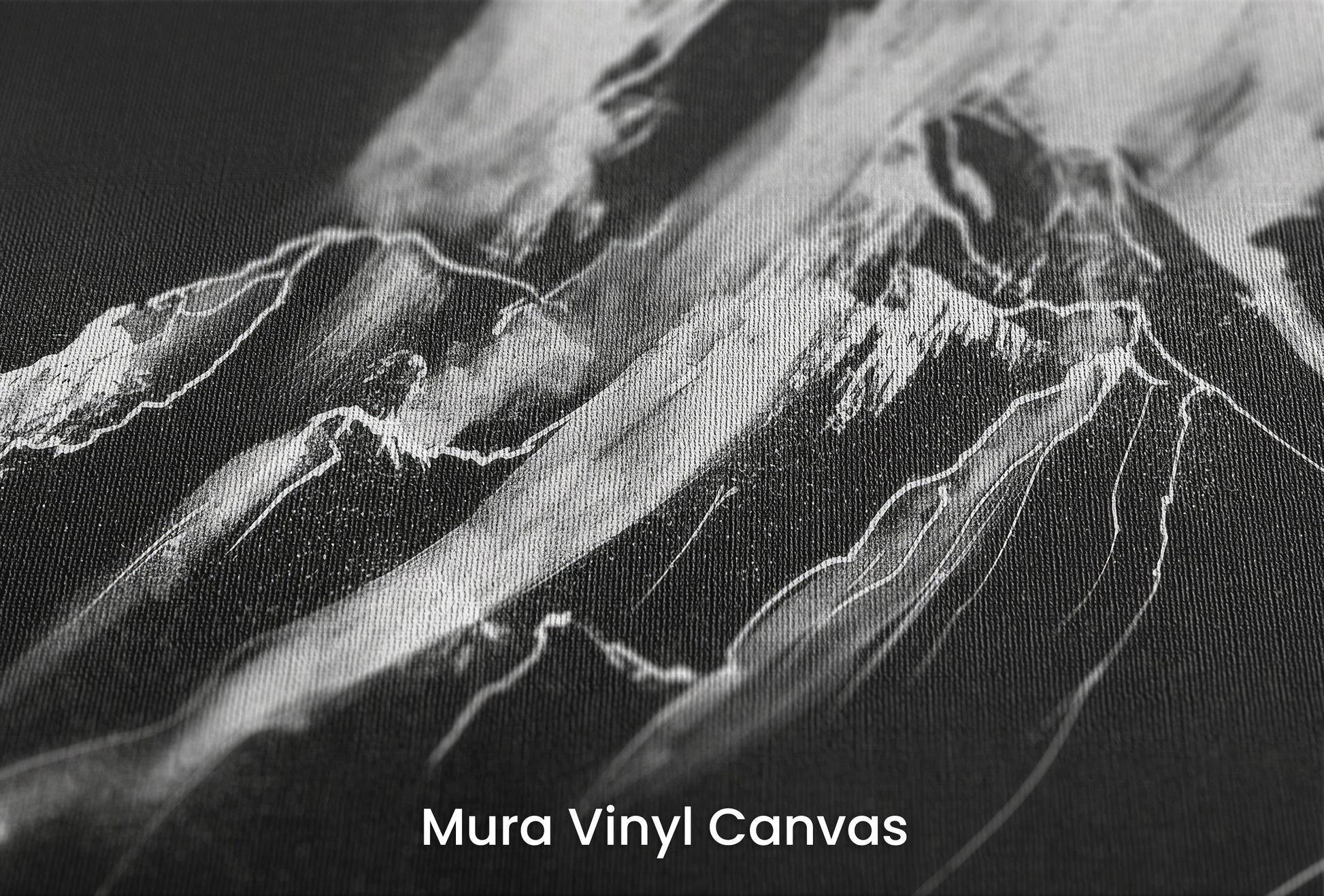 Zbliżenie na artystyczną fototapetę o nazwie Monochrome Majesty na podłożu Mura Vinyl Canvas - faktura naturalnego płótna.