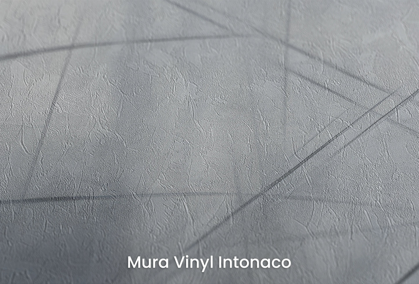 Zbliżenie na artystyczną fototapetę o nazwie Ephemeral Lines na podłożu Mura Vinyl Intonaco - struktura tartego tynku.