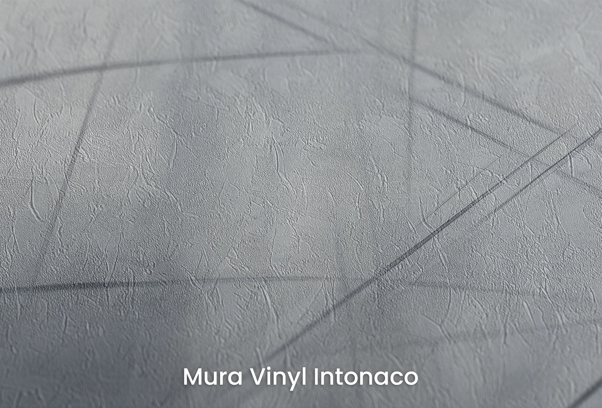 Zbliżenie na artystyczną fototapetę o nazwie Ephemeral Lines na podłożu Mura Vinyl Intonaco - struktura tartego tynku.