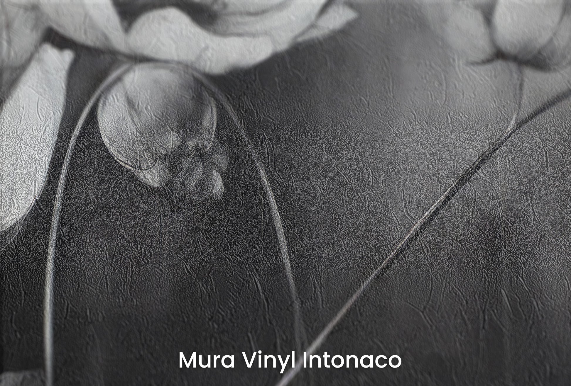 Zbliżenie na artystyczną fototapetę o nazwie SILVER PETALS DANCE na podłożu Mura Vinyl Intonaco - struktura tartego tynku.