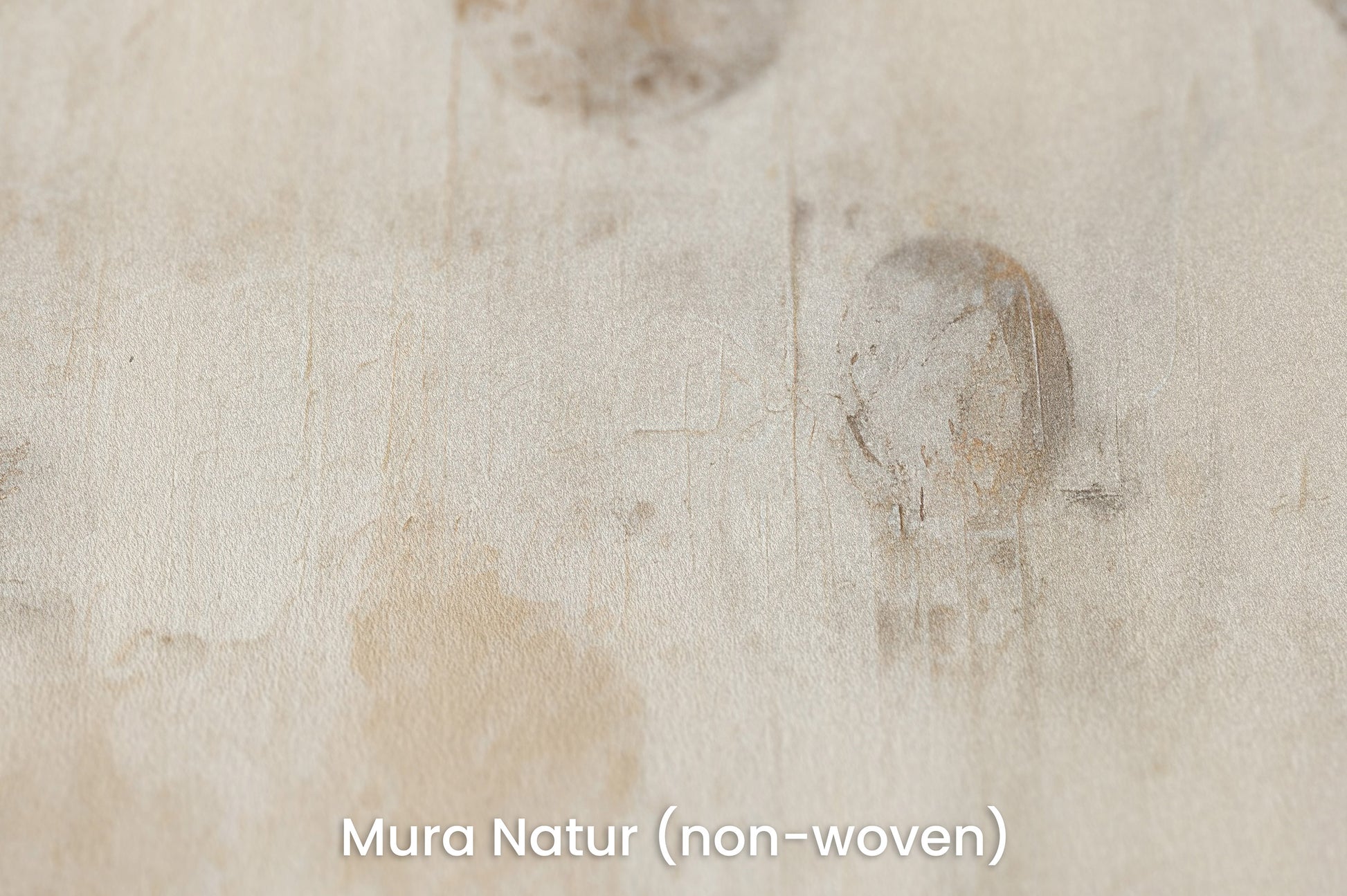 Zbliżenie na artystyczną fototapetę o nazwie VINTAGE PLANETARY MOTIFS na podłożu Mura Natur (non-woven) - naturalne i ekologiczne podłoże.