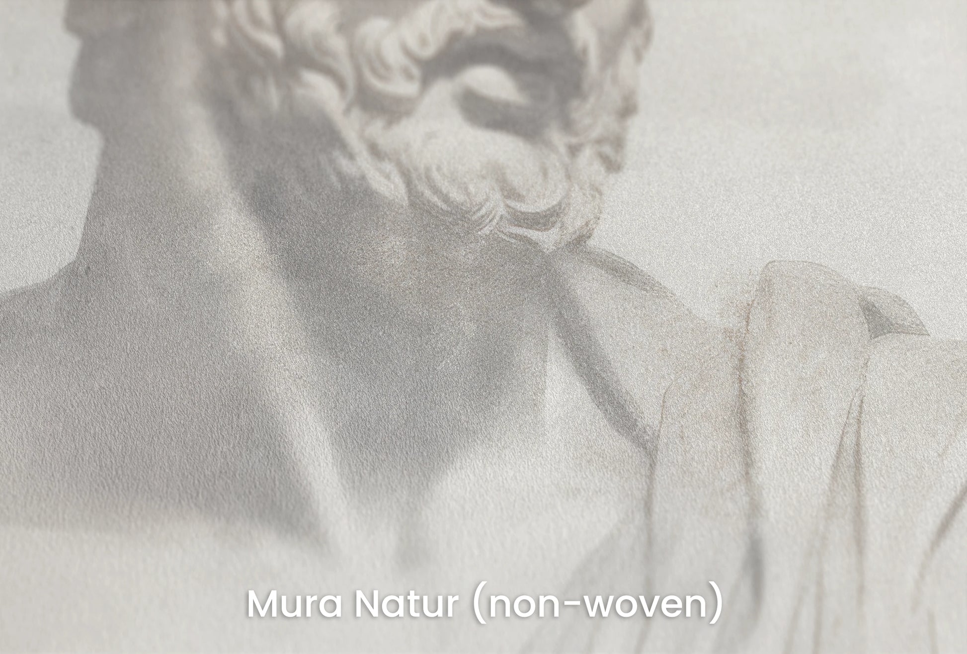Zbliżenie na artystyczną fototapetę o nazwie Athenian Discourse na podłożu Mura Natur (non-woven) - naturalne i ekologiczne podłoże.