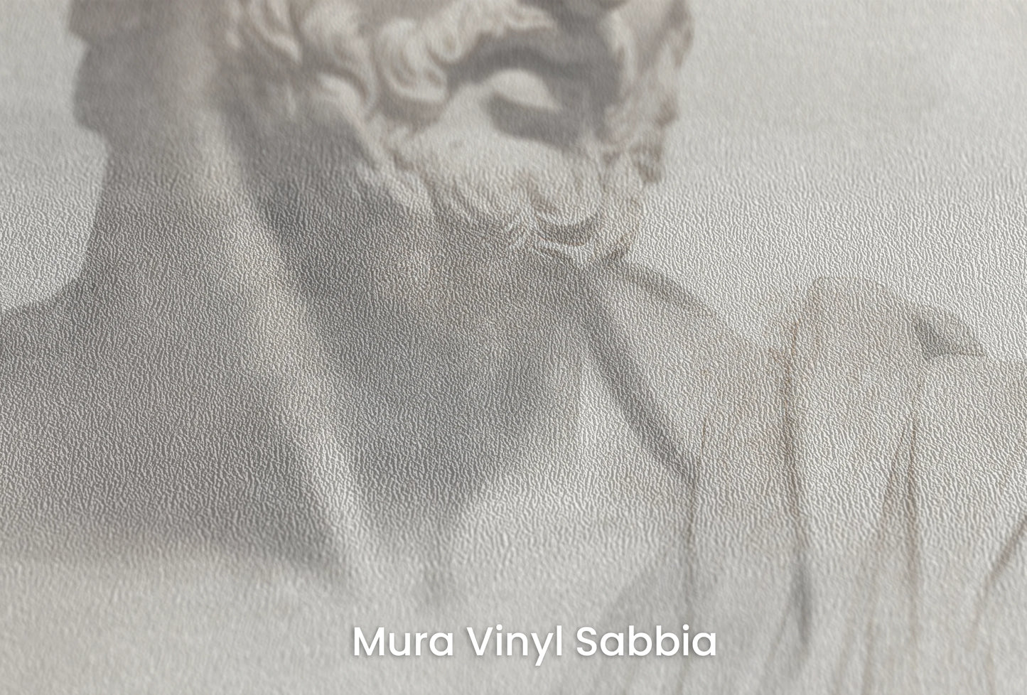 Zbliżenie na artystyczną fototapetę o nazwie Athenian Discourse na podłożu Mura Vinyl Sabbia struktura grubego ziarna piasku.