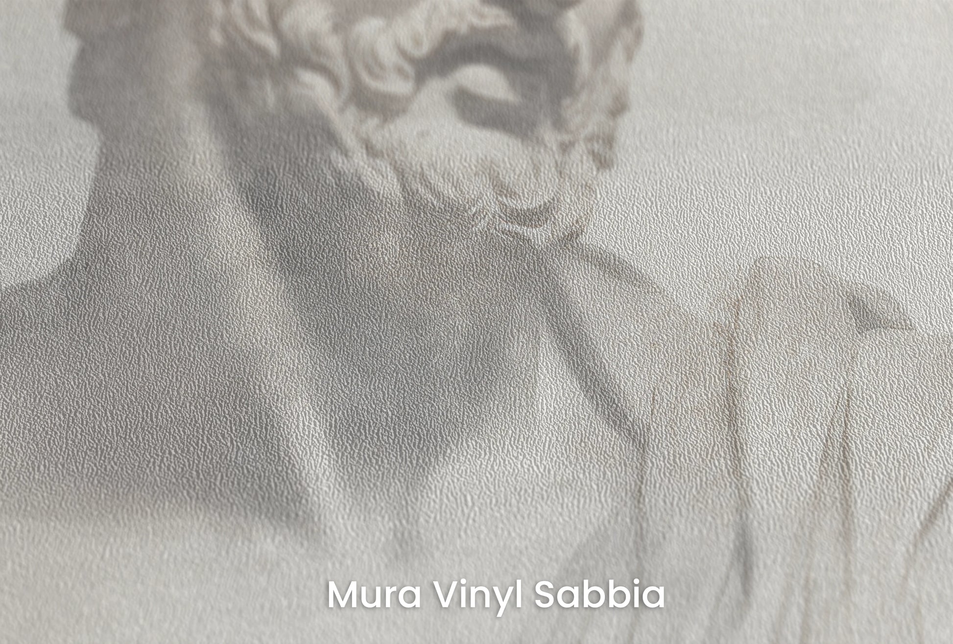 Zbliżenie na artystyczną fototapetę o nazwie Athenian Discourse na podłożu Mura Vinyl Sabbia struktura grubego ziarna piasku.