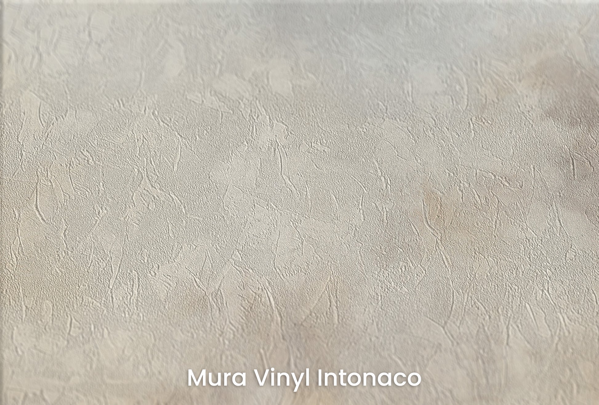 Zbliżenie na artystyczną fototapetę o nazwie CUMULUS ECHOES MURAL na podłożu Mura Vinyl Intonaco - struktura tartego tynku.
