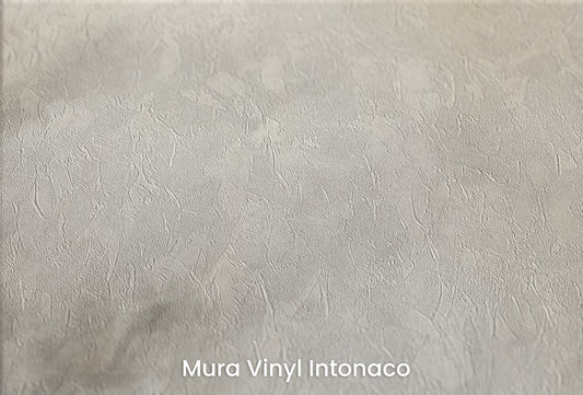 Zbliżenie na artystyczną fototapetę o nazwie WHISPERING MIST MURAL na podłożu Mura Vinyl Intonaco - struktura tartego tynku.