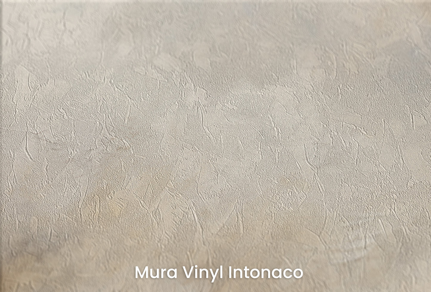 Zbliżenie na artystyczną fototapetę o nazwie CUMULUS ELEGANCE na podłożu Mura Vinyl Intonaco - struktura tartego tynku.