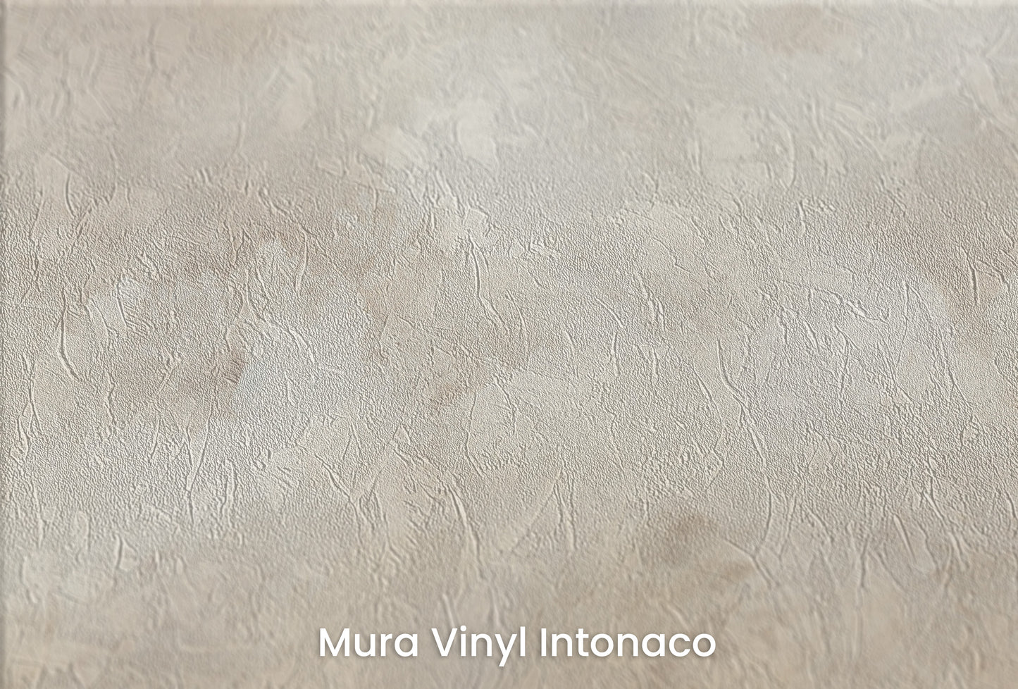 Zbliżenie na artystyczną fototapetę o nazwie GOLDEN MIST HAVEN na podłożu Mura Vinyl Intonaco - struktura tartego tynku.