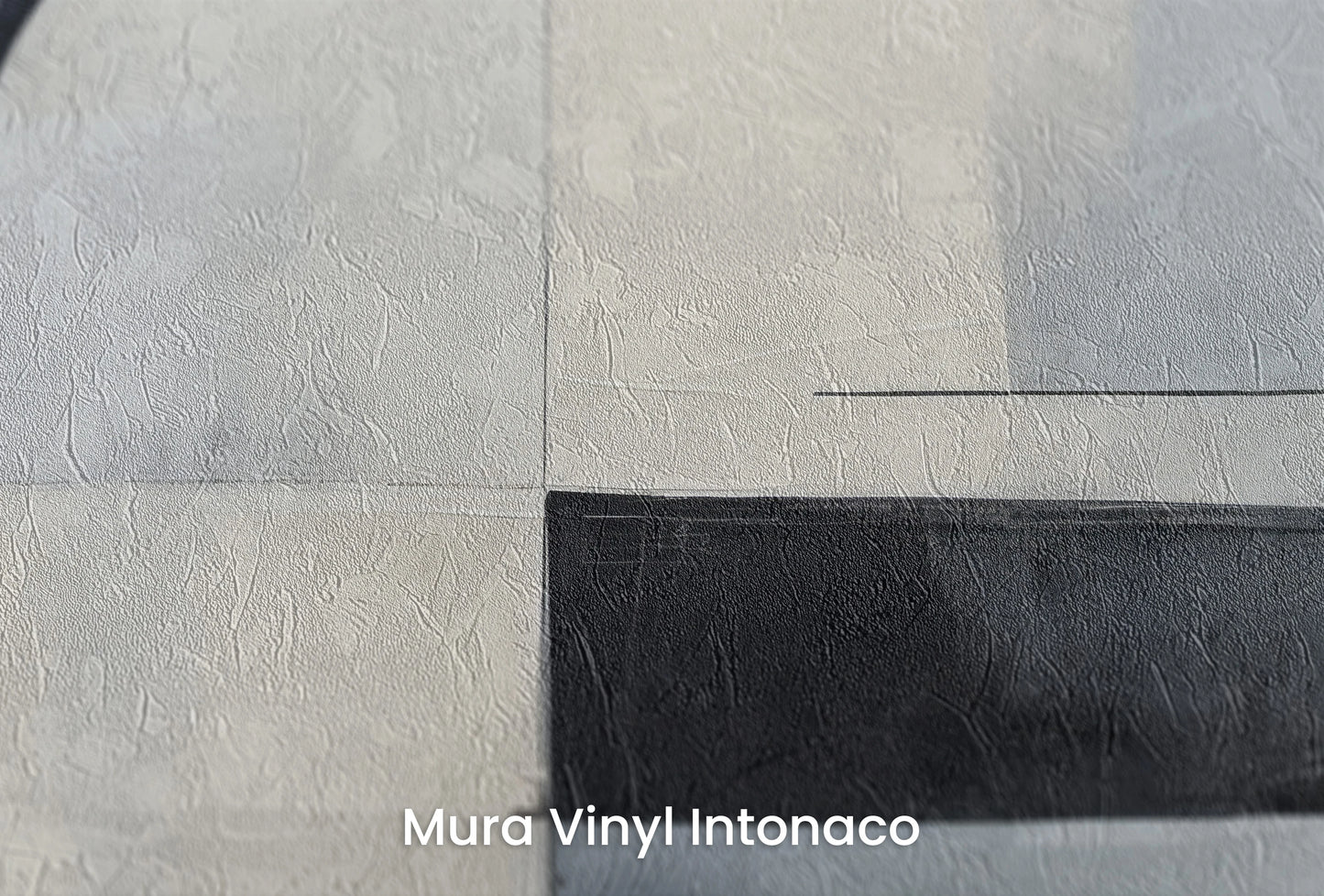 Zbliżenie na artystyczną fototapetę o nazwie Monochromatic Circle na podłożu Mura Vinyl Intonaco - struktura tartego tynku.
