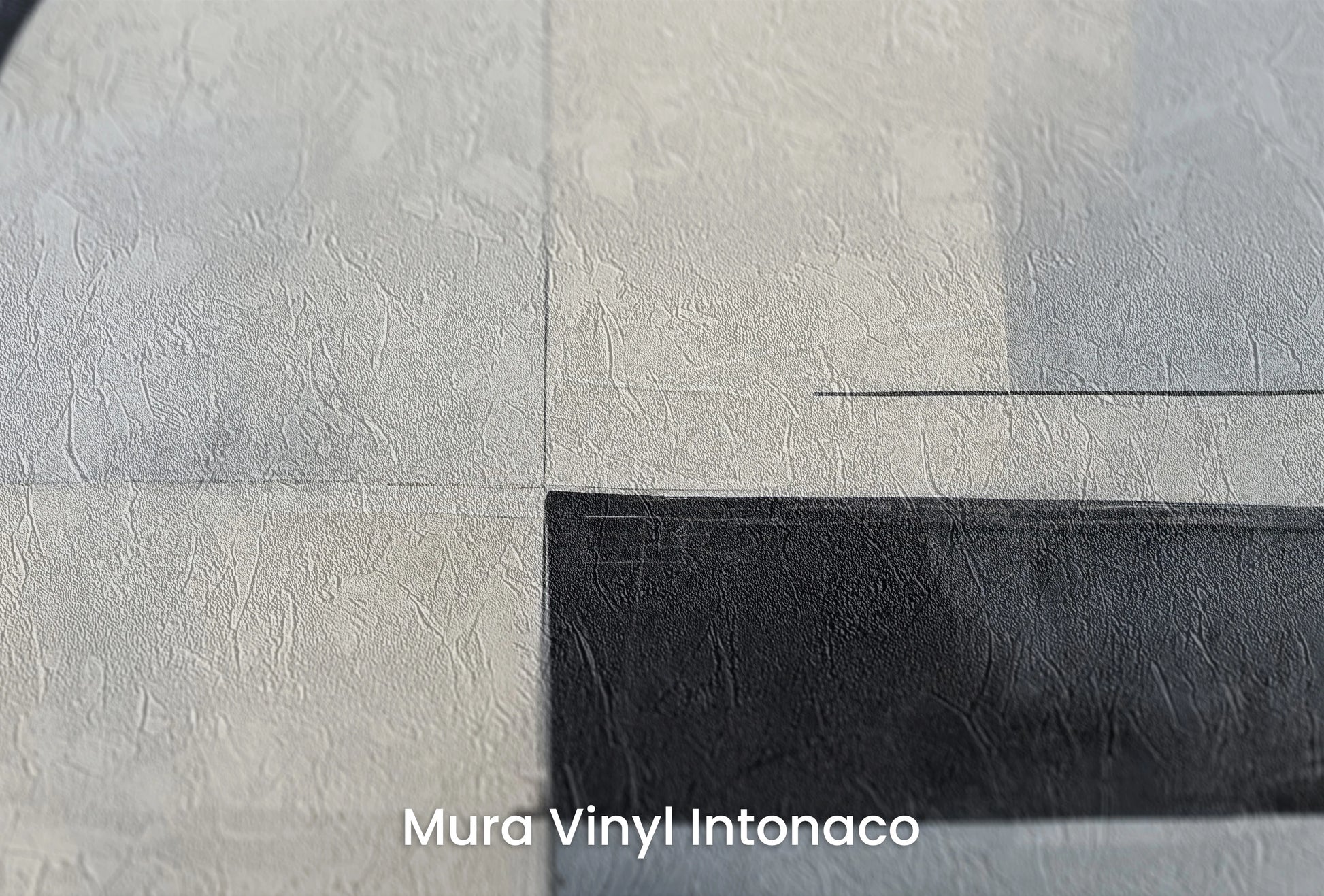 Zbliżenie na artystyczną fototapetę o nazwie Monochromatic Circle na podłożu Mura Vinyl Intonaco - struktura tartego tynku.
