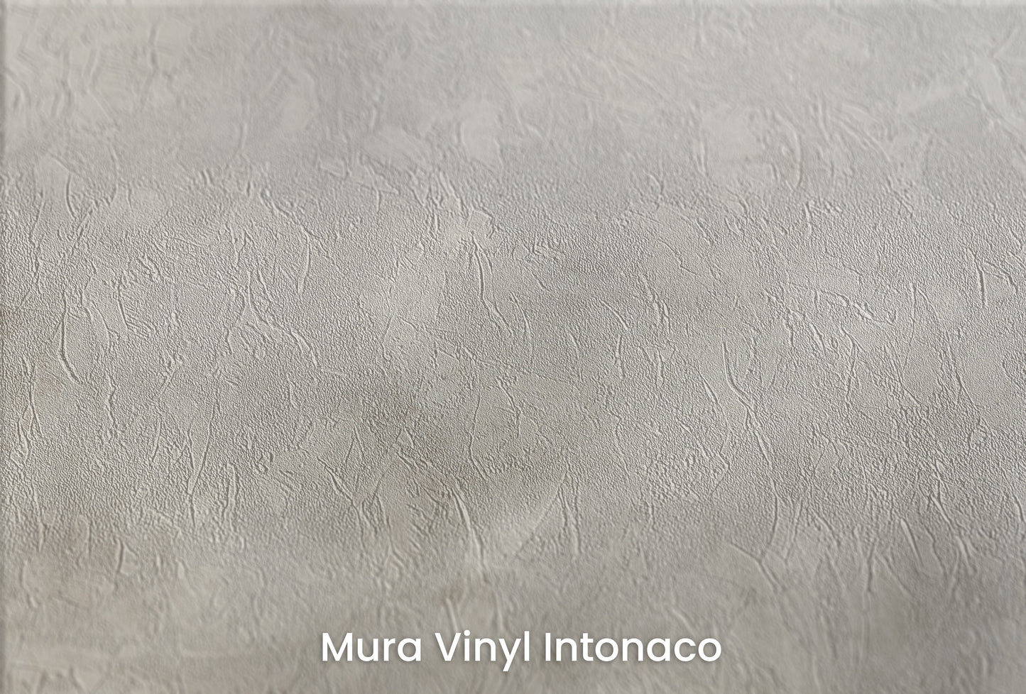 Zbliżenie na artystyczną fototapetę o nazwie MYSTICAL FOG MURAL na podłożu Mura Vinyl Intonaco - struktura tartego tynku.