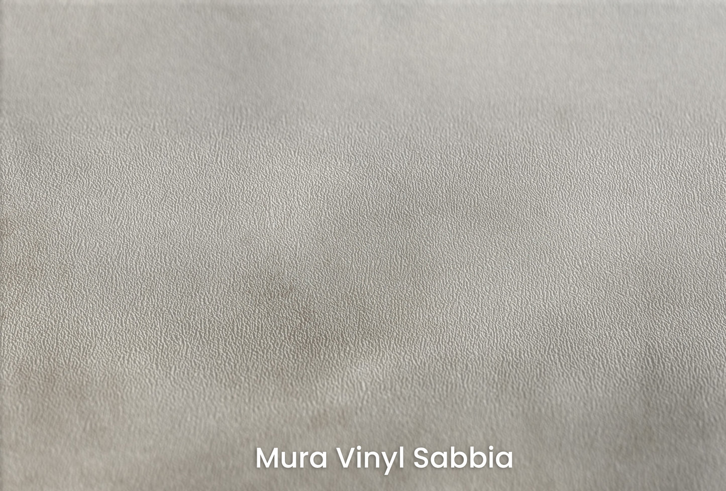 Zbliżenie na artystyczną fototapetę o nazwie MYSTICAL FOG MURAL na podłożu Mura Vinyl Sabbia struktura grubego ziarna piasku.
