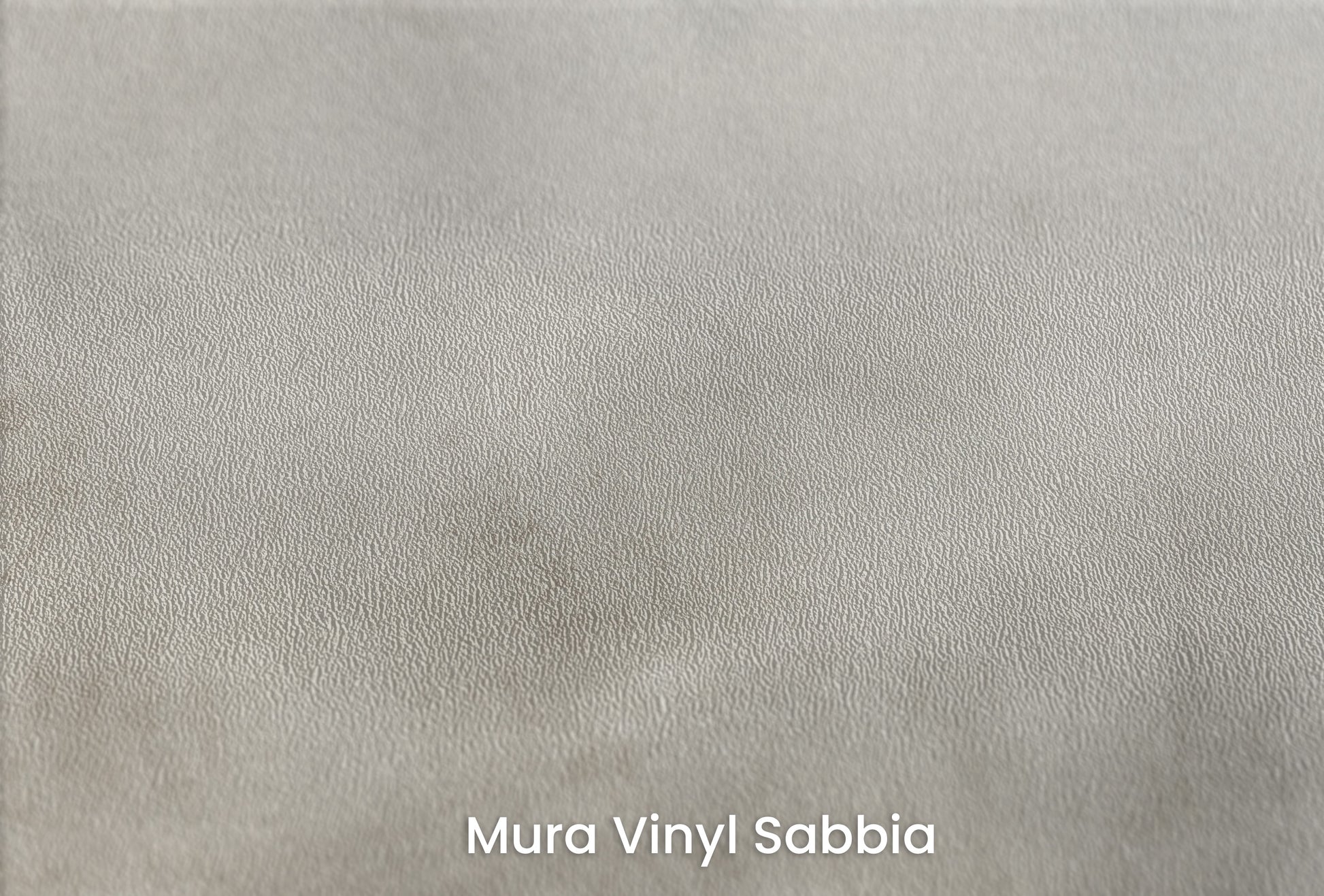 Zbliżenie na artystyczną fototapetę o nazwie MYSTICAL FOG MURAL na podłożu Mura Vinyl Sabbia struktura grubego ziarna piasku.