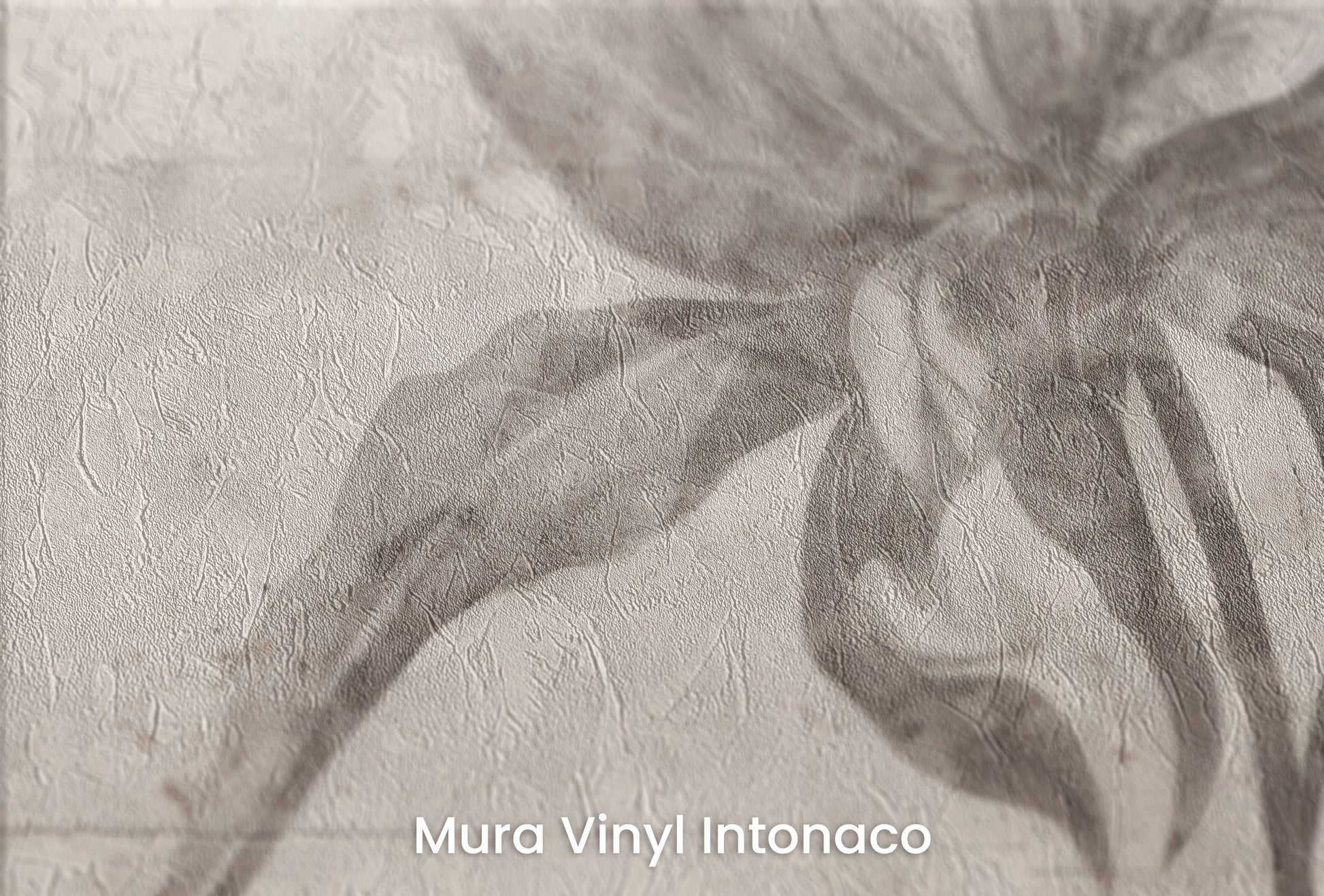 Zbliżenie na artystyczną fototapetę o nazwie ETHEREAL FLEUR na podłożu Mura Vinyl Intonaco - struktura tartego tynku.