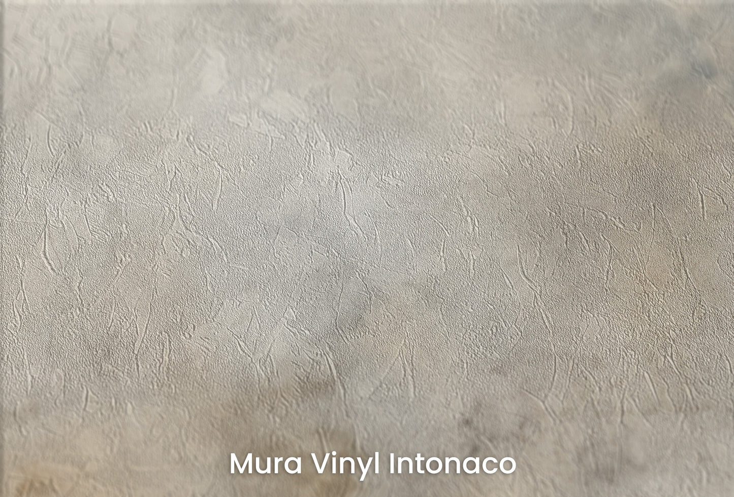 Zbliżenie na artystyczną fototapetę o nazwie ANTIQUE CLOUD TAPESTRY na podłożu Mura Vinyl Intonaco - struktura tartego tynku.