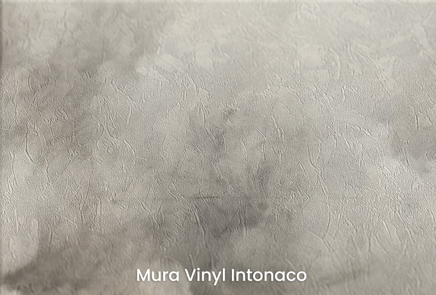Zbliżenie na artystyczną fototapetę o nazwie STORM'S GRACE MURAL na podłożu Mura Vinyl Intonaco - struktura tartego tynku.