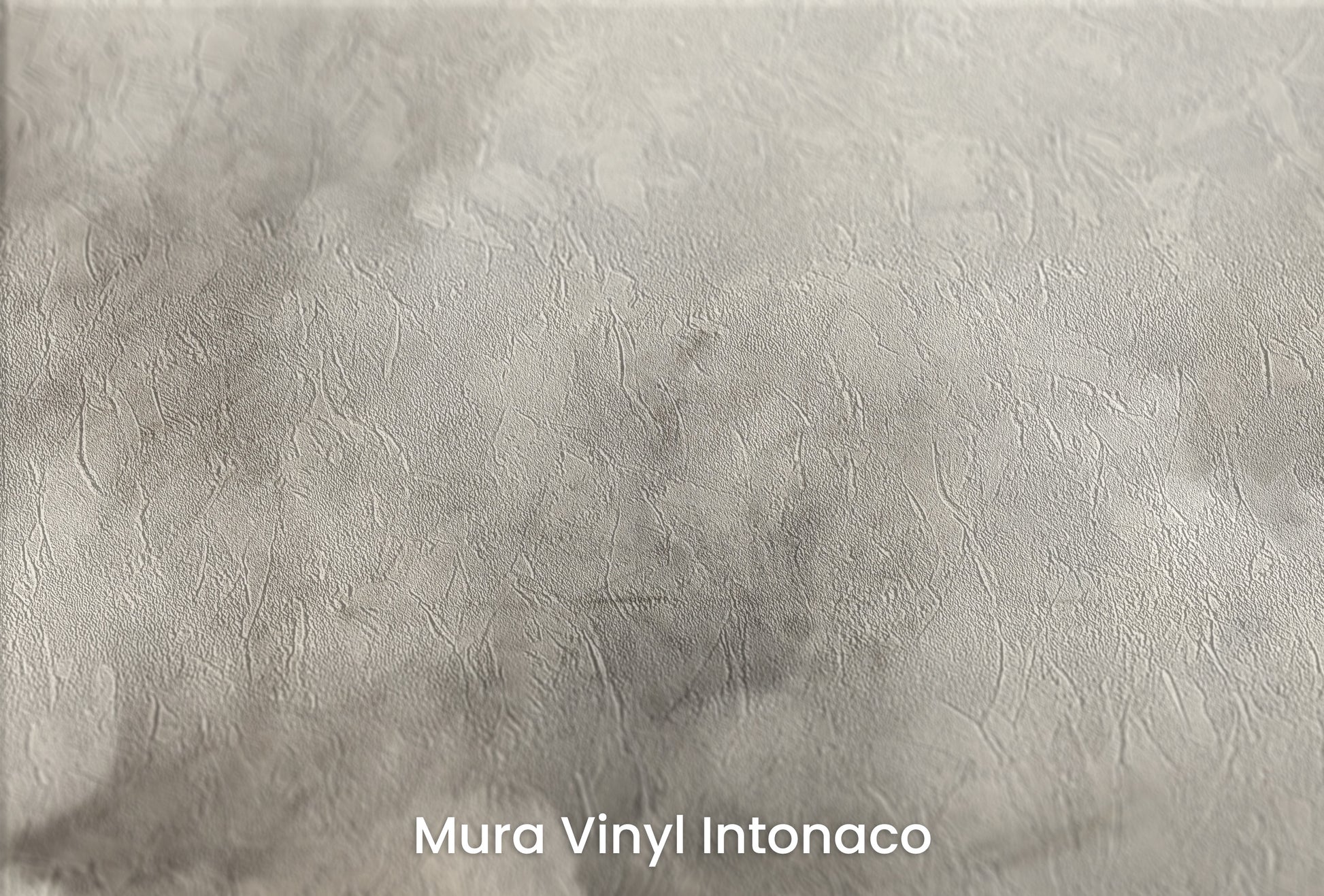 Zbliżenie na artystyczną fototapetę o nazwie STORM'S GRACE MURAL na podłożu Mura Vinyl Intonaco - struktura tartego tynku.