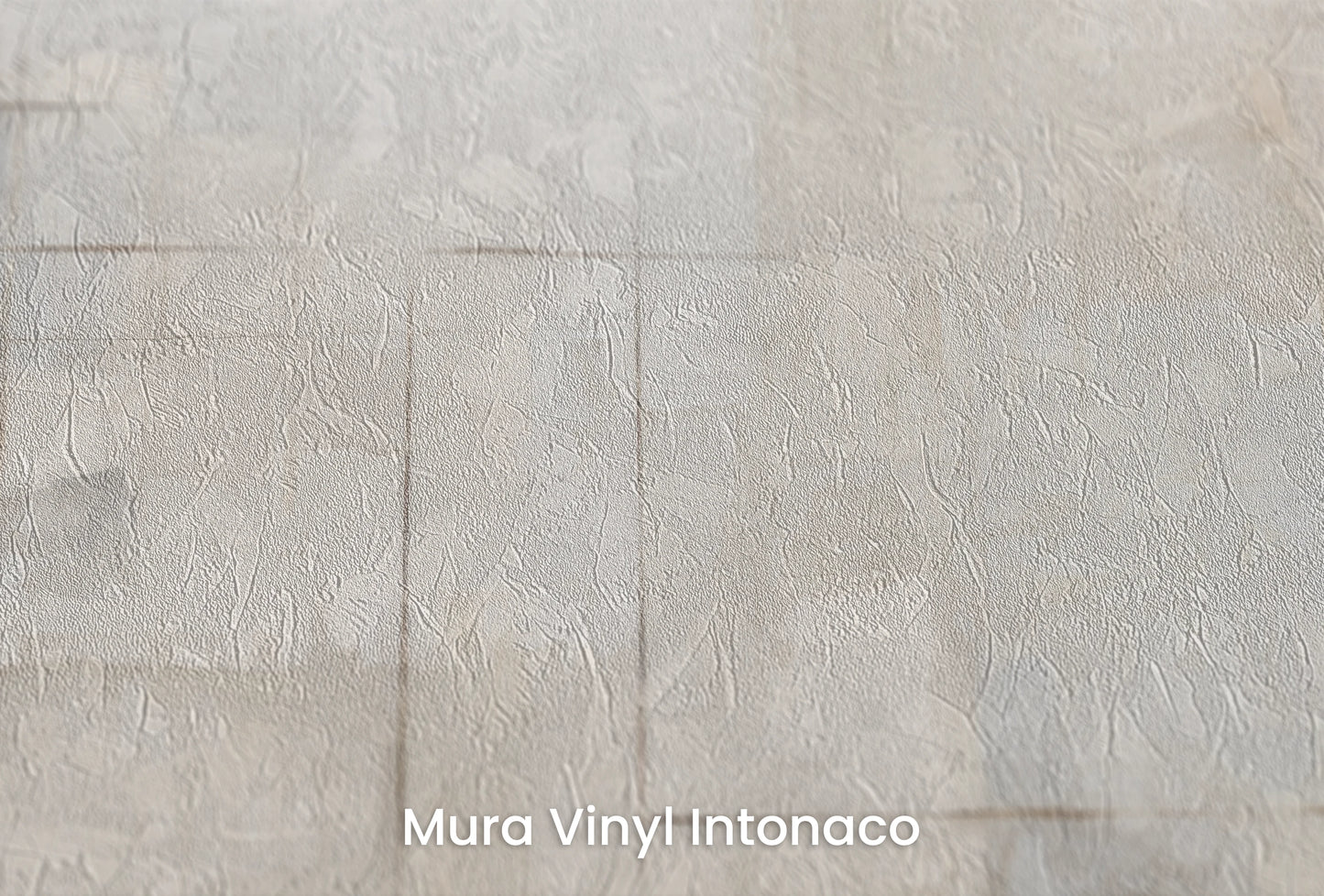 Zbliżenie na artystyczną fototapetę o nazwie Crisp Edges na podłożu Mura Vinyl Intonaco - struktura tartego tynku.