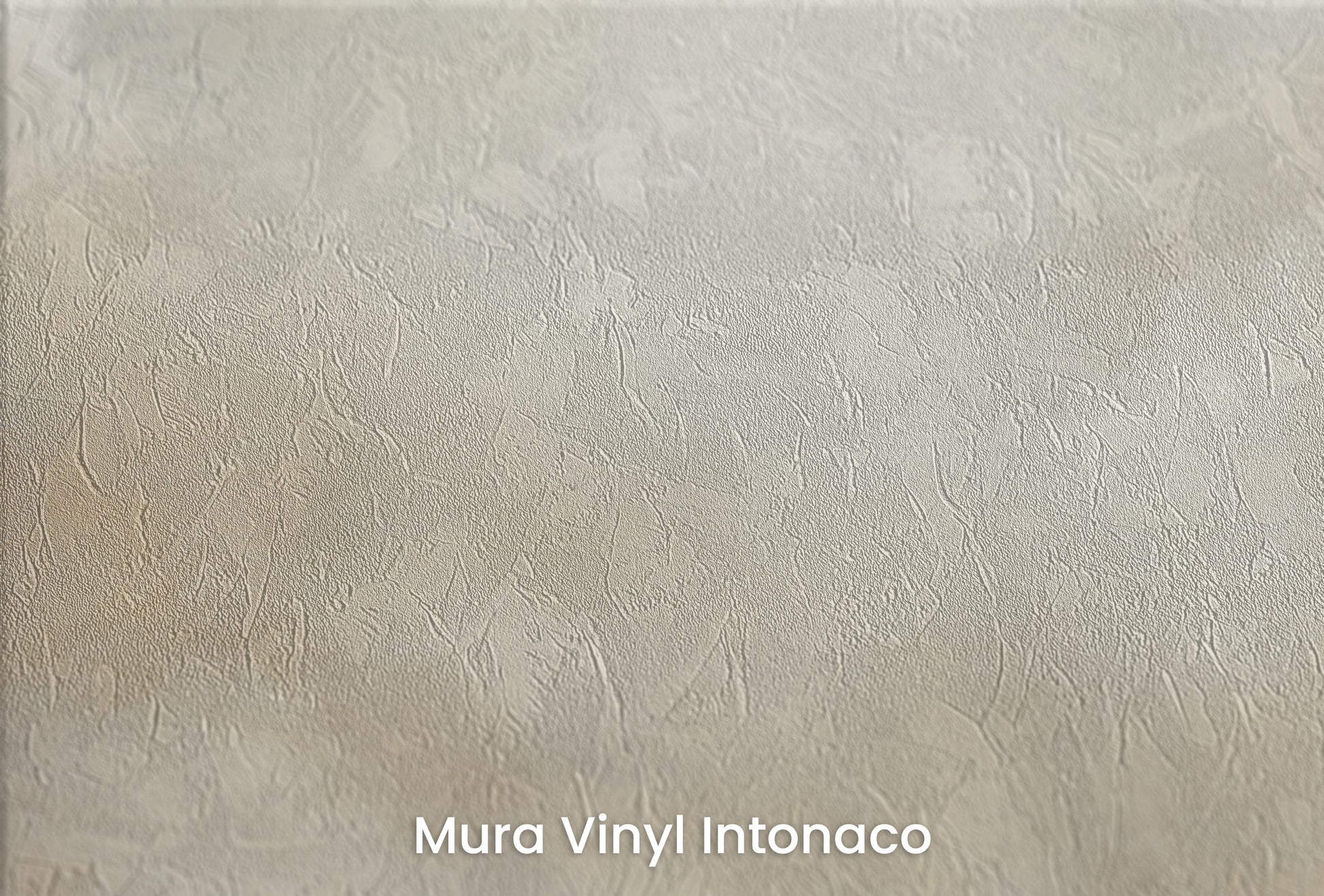 Zbliżenie na artystyczną fototapetę o nazwie TRANSCENDENT CLOUD REALM na podłożu Mura Vinyl Intonaco - struktura tartego tynku.