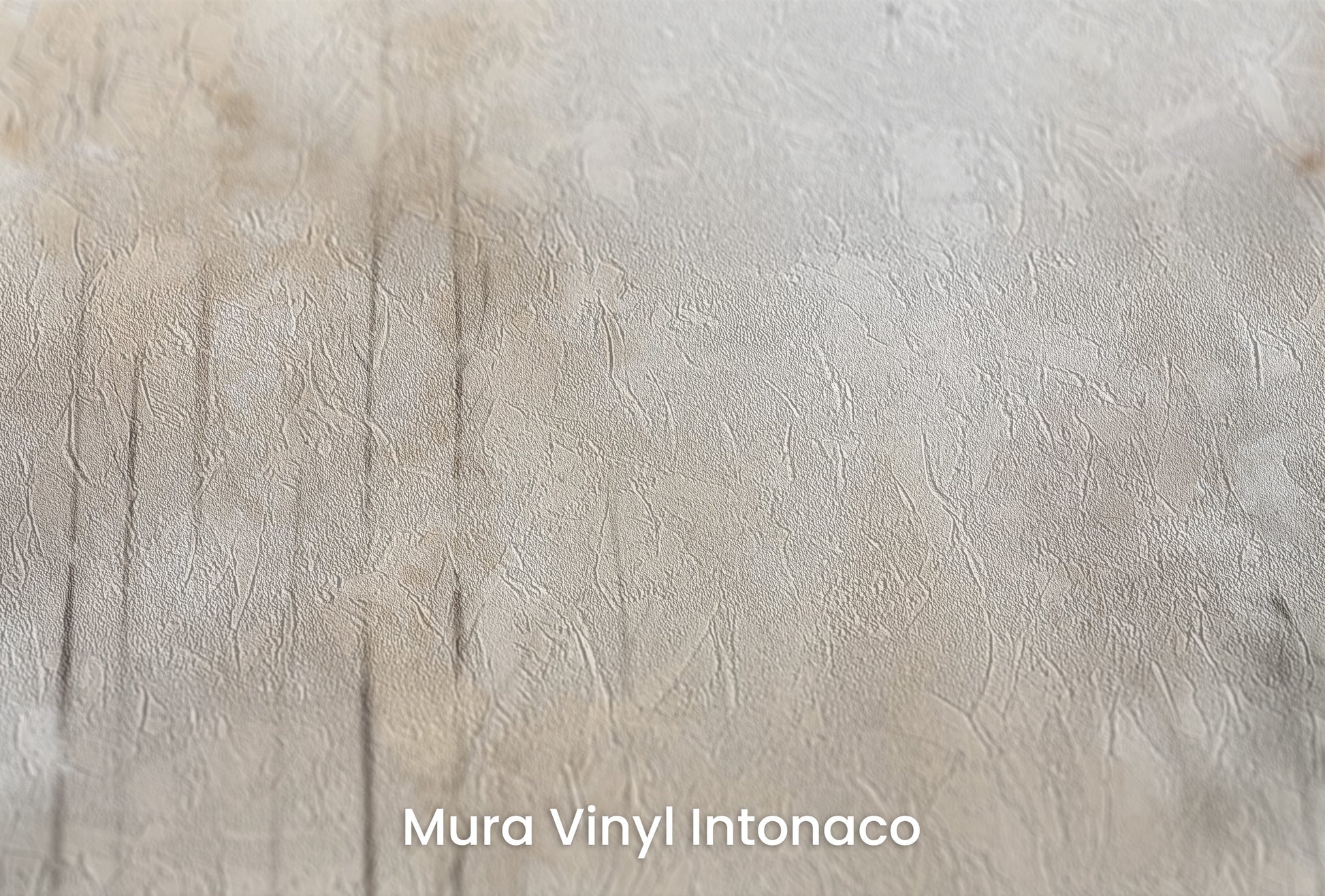 Zbliżenie na artystyczną fototapetę o nazwie MORNING'S FIRST FLIGHT MURAL na podłożu Mura Vinyl Intonaco - struktura tartego tynku.