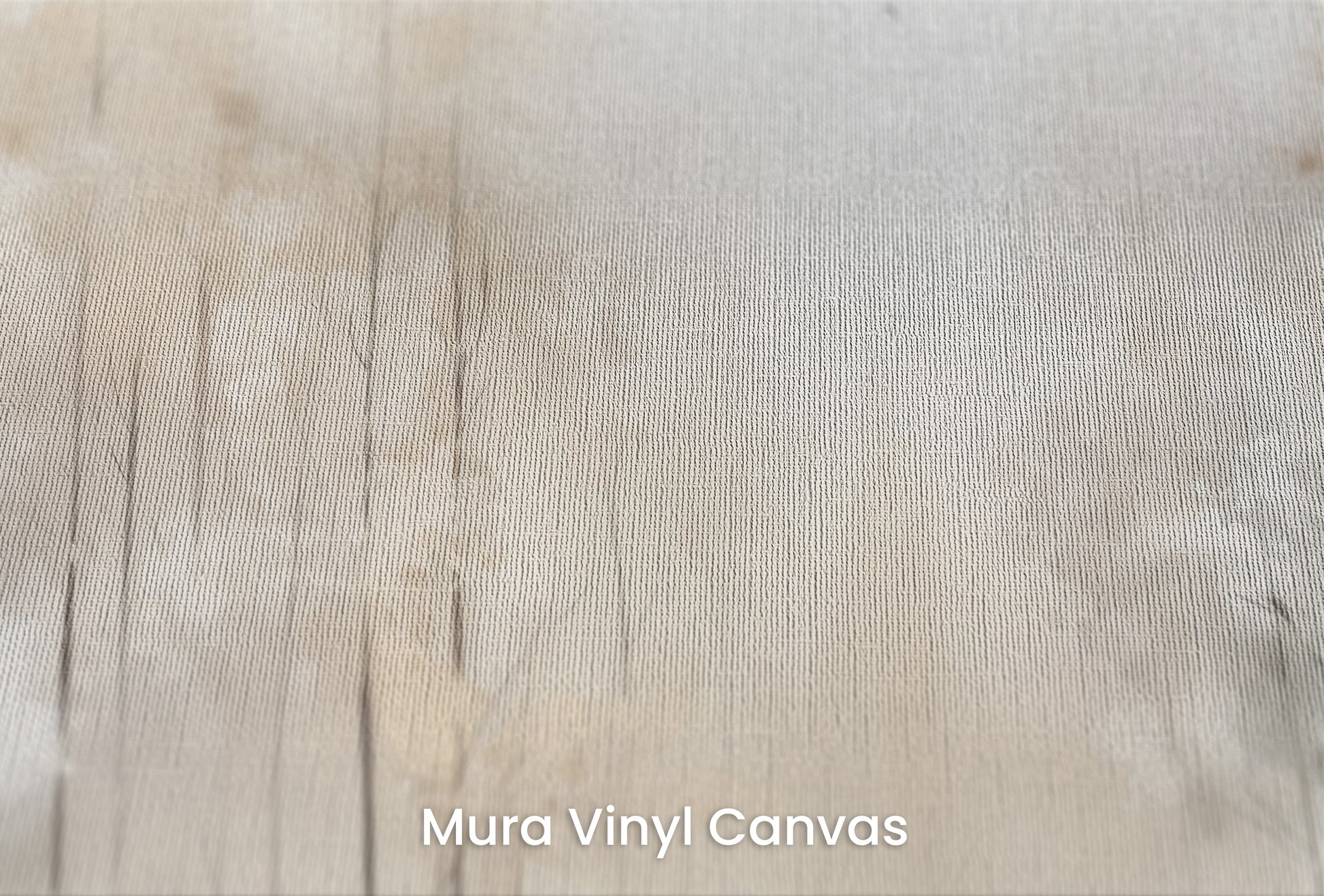 Zbliżenie na artystyczną fototapetę o nazwie MORNING'S FIRST FLIGHT MURAL na podłożu Mura Vinyl Canvas - faktura naturalnego płótna.