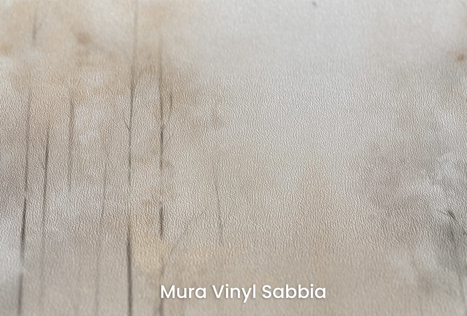 Zbliżenie na artystyczną fototapetę o nazwie MORNING'S FIRST FLIGHT MURAL na podłożu Mura Vinyl Sabbia struktura grubego ziarna piasku.