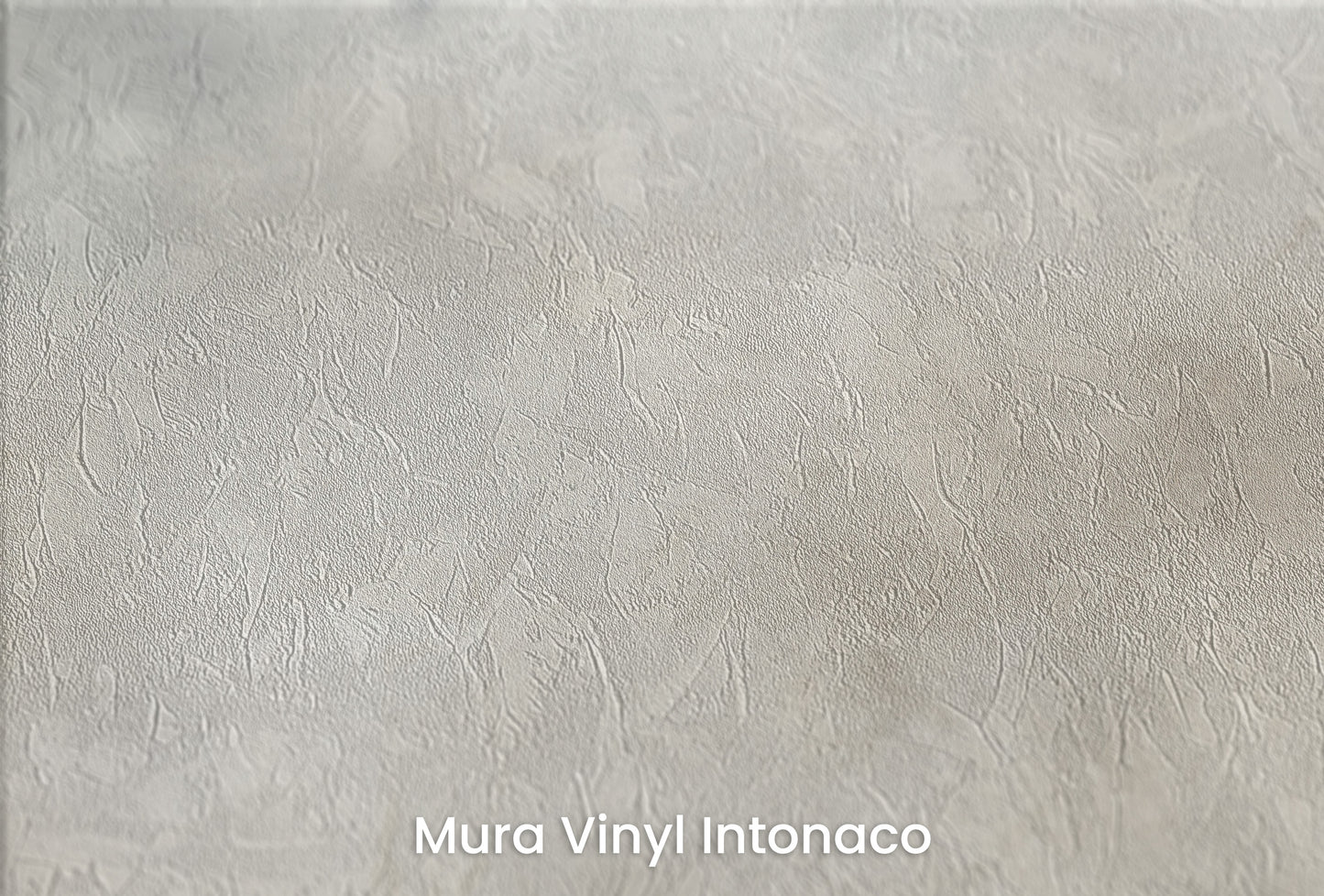 Zbliżenie na artystyczną fototapetę o nazwie SILVER LINING DREAM na podłożu Mura Vinyl Intonaco - struktura tartego tynku.