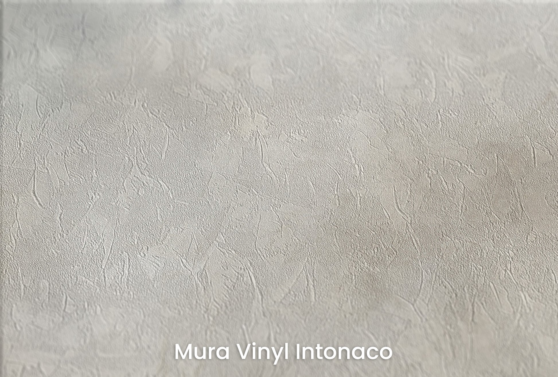 Zbliżenie na artystyczną fototapetę o nazwie SILVER LINING DREAM na podłożu Mura Vinyl Intonaco - struktura tartego tynku.