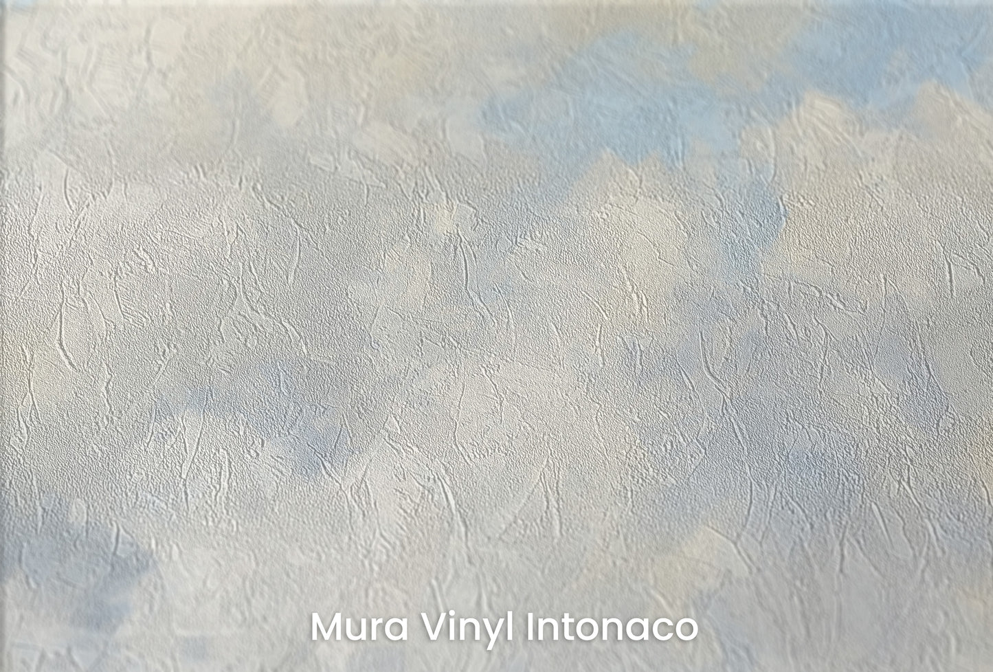 Zbliżenie na artystyczną fototapetę o nazwie CUMULUS DANCE ALOFT na podłożu Mura Vinyl Intonaco - struktura tartego tynku.