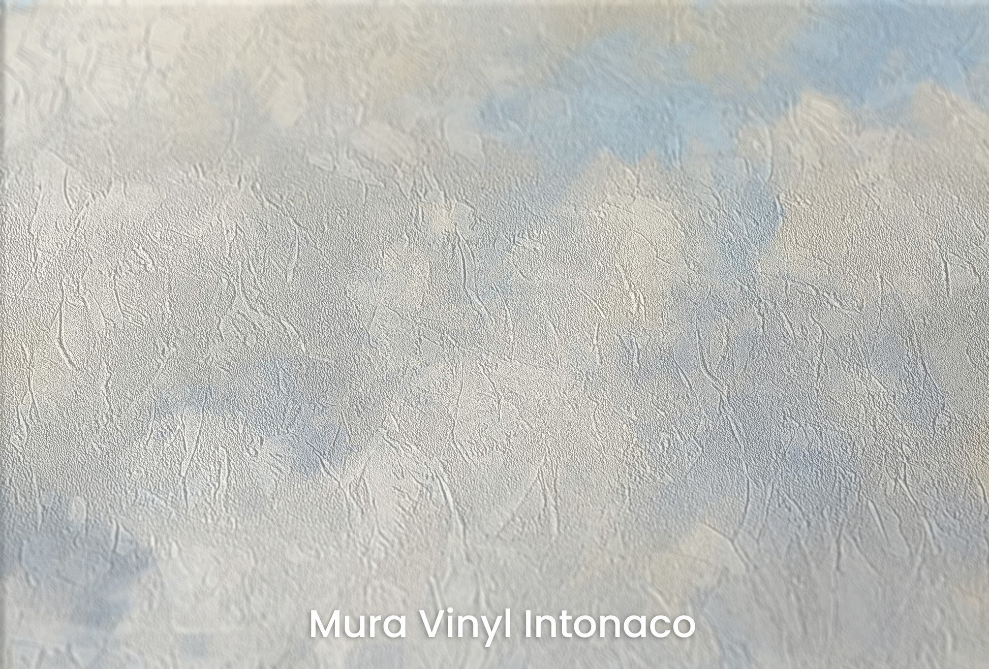 Zbliżenie na artystyczną fototapetę o nazwie CUMULUS DANCE ALOFT na podłożu Mura Vinyl Intonaco - struktura tartego tynku.