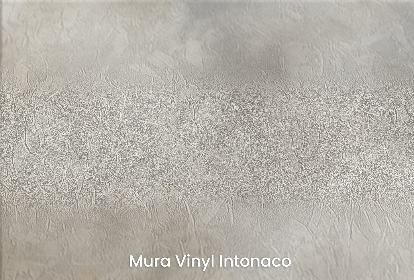 Zbliżenie na artystyczną fototapetę o nazwie MONOCHROME CLOUD MAJESTY na podłożu Mura Vinyl Intonaco - struktura tartego tynku.
